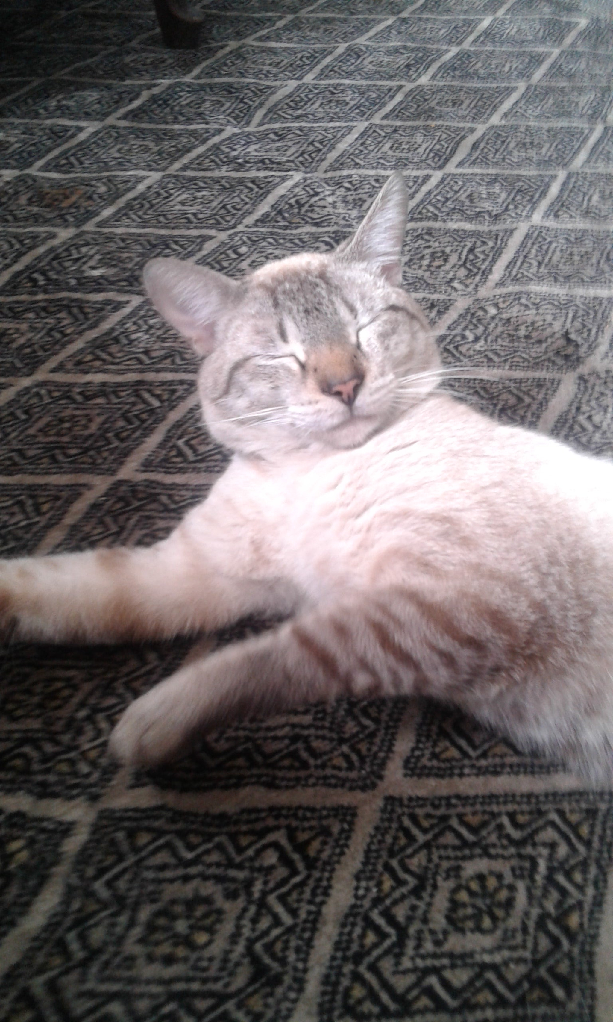 Samsung Galaxy Core2 sample photo. Img wa photography