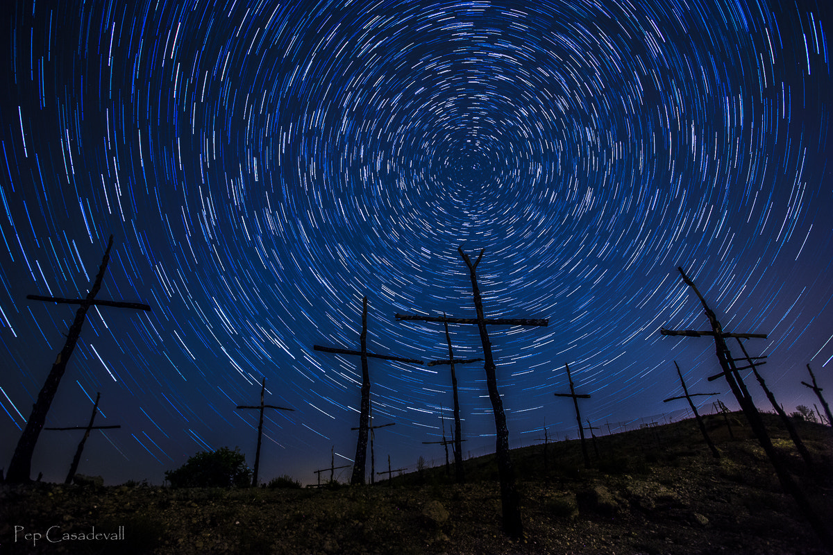 The forest of crosses by Pep Casadevall on 500px.com