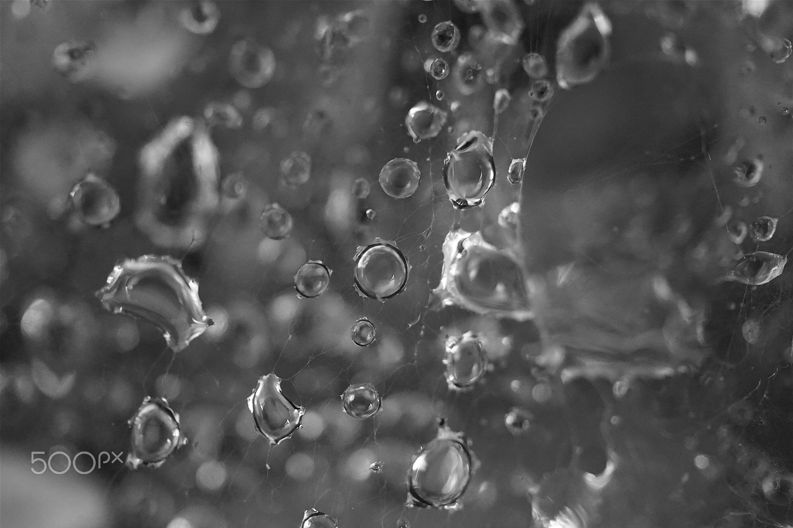 Sony a5100 + Sony E 30mm F3.5 sample photo. Droplets on a web photography