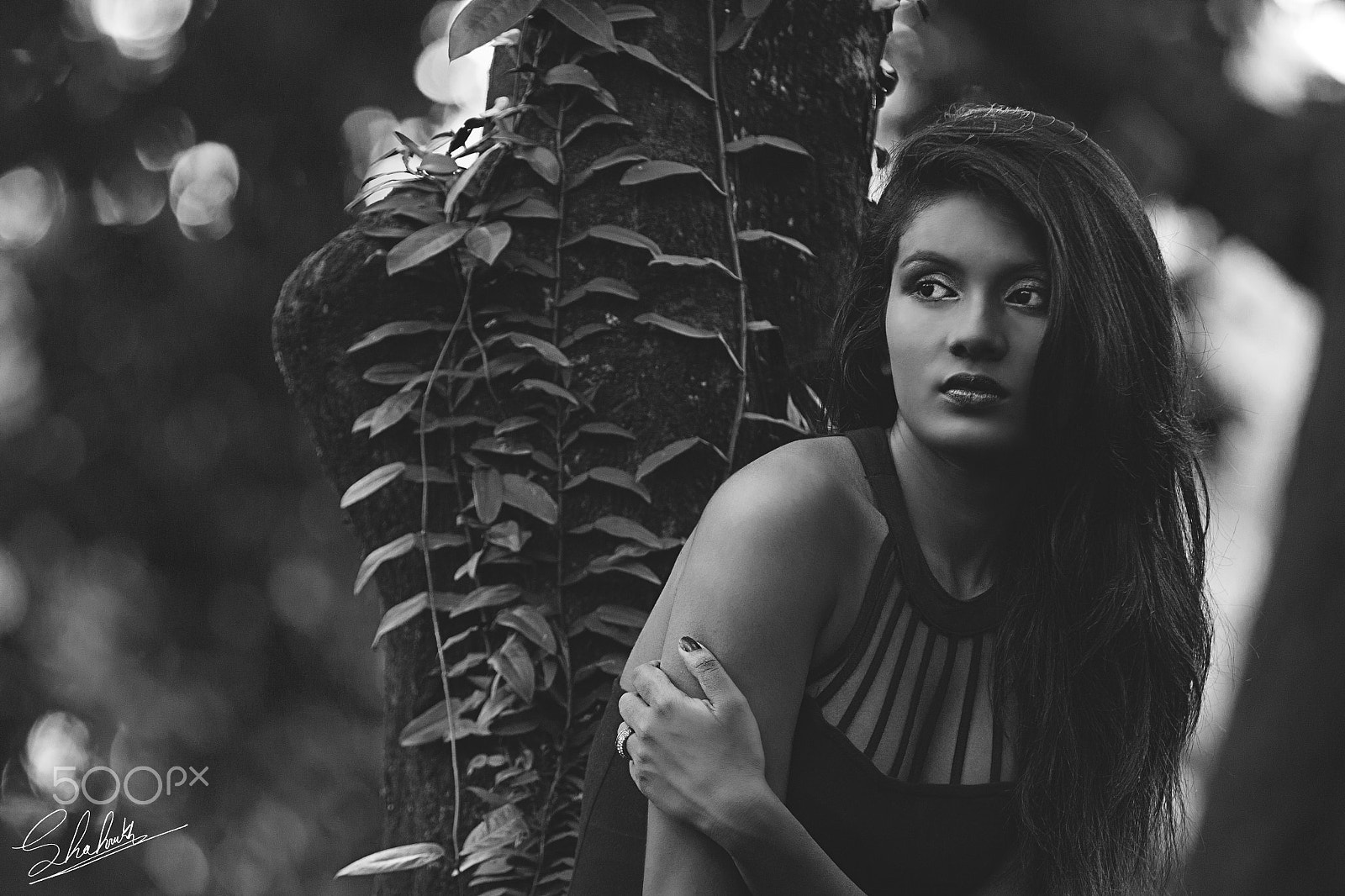 Canon EF 70-200mm F2.8L IS II USM sample photo. Sifa © photography