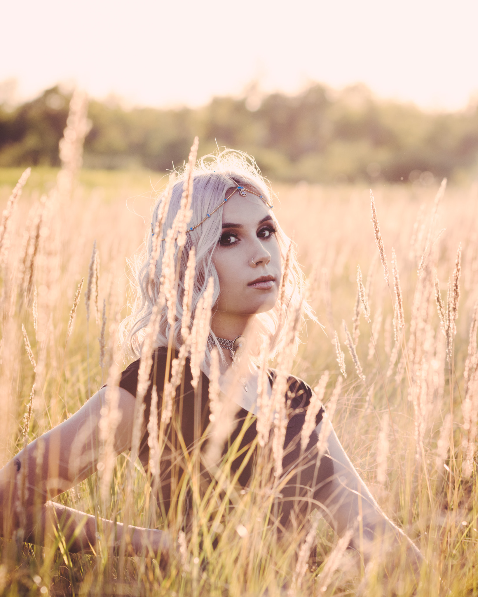 Pentax K-3 II sample photo. Fields of gold photography