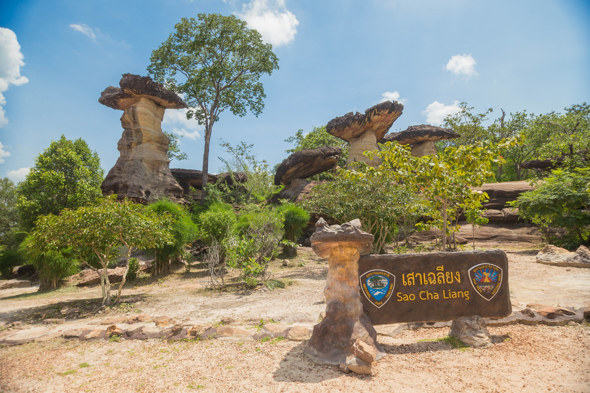 Sigma 10-20mm F3.5 EX DC HSM sample photo. Northeast of thailand photography