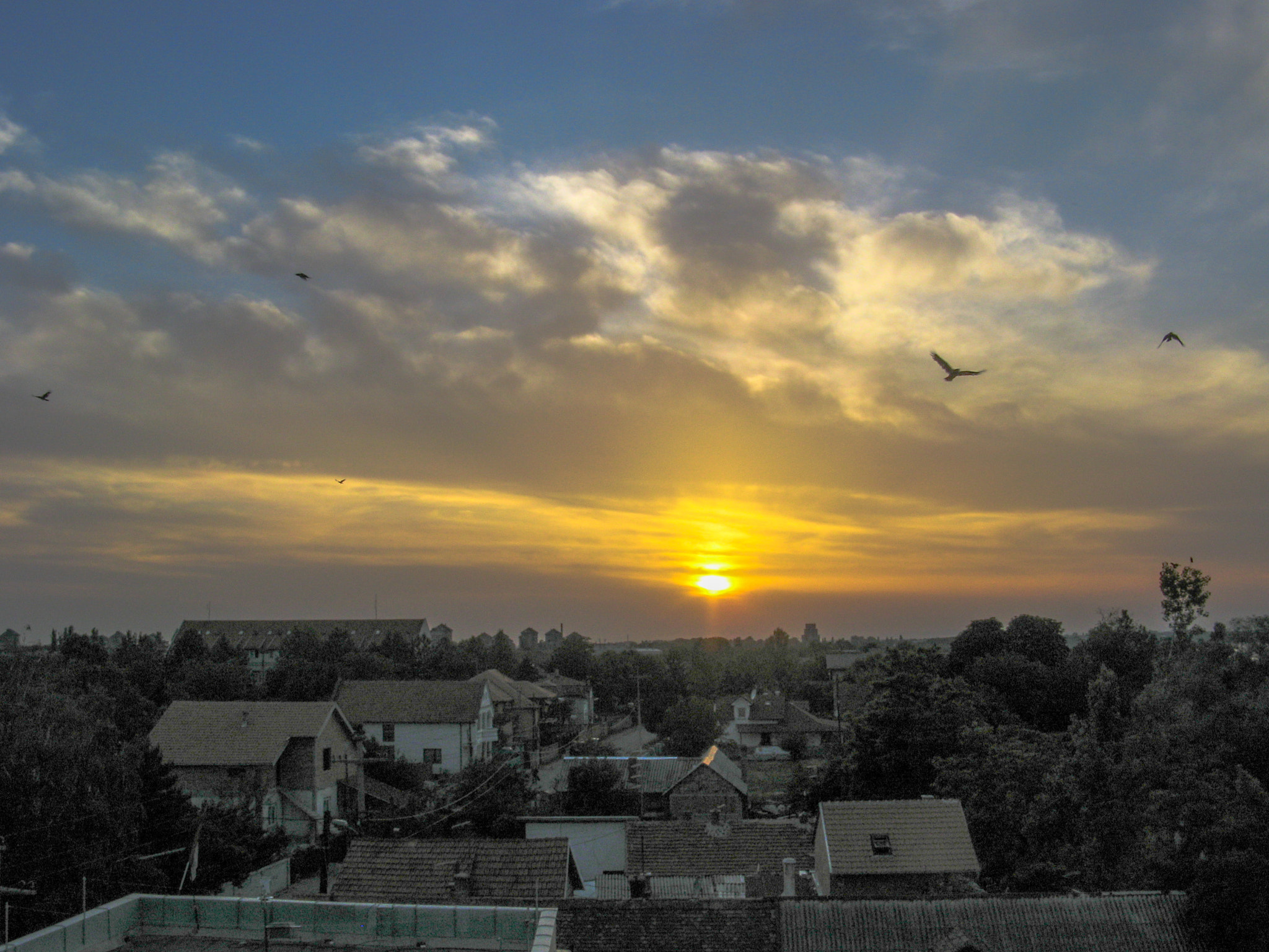 Canon POWERSHOT A710 IS sample photo. Sunset on zemun.jpg photography