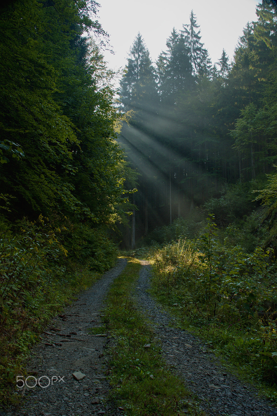 18.00 - 200.00 mm f/3.5 - 6.3 sample photo. Sun rays photography