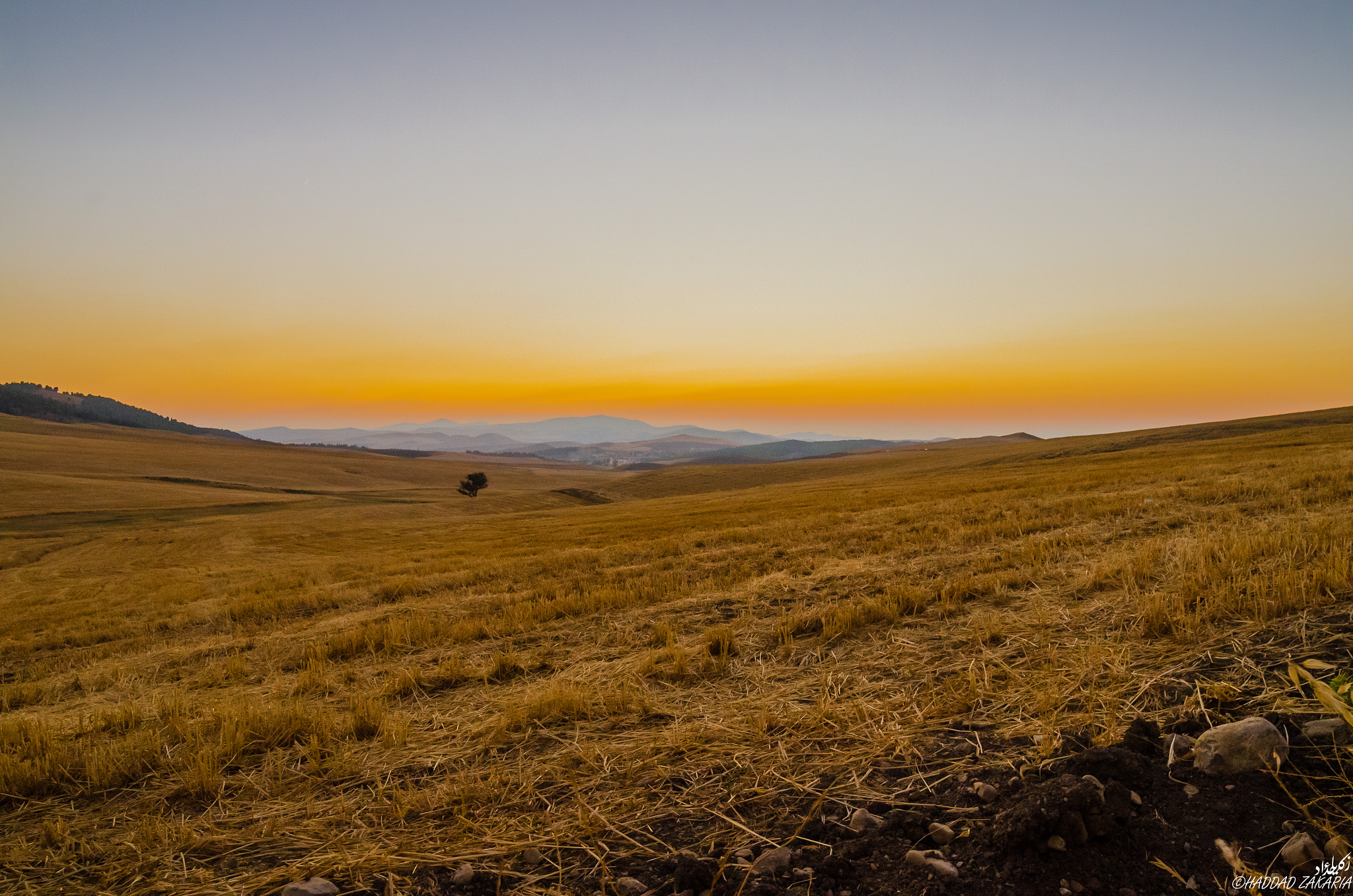 Samyang 14mm F2.8 ED AS IF UMC sample photo. Summer sunset photography
