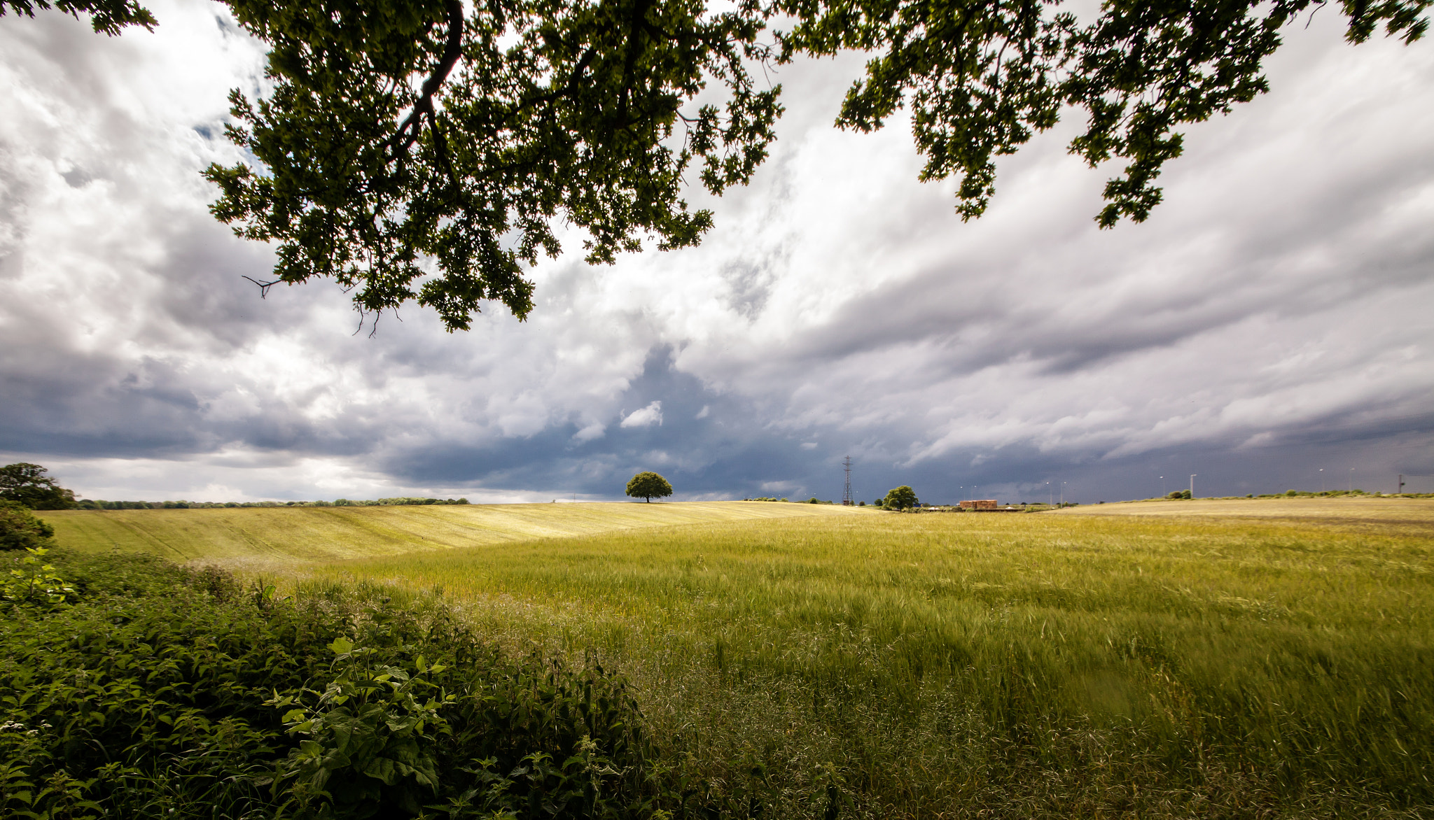 Sigma 12-24mm F4.5-5.6 II DG HSM sample photo. Denhamlong photography