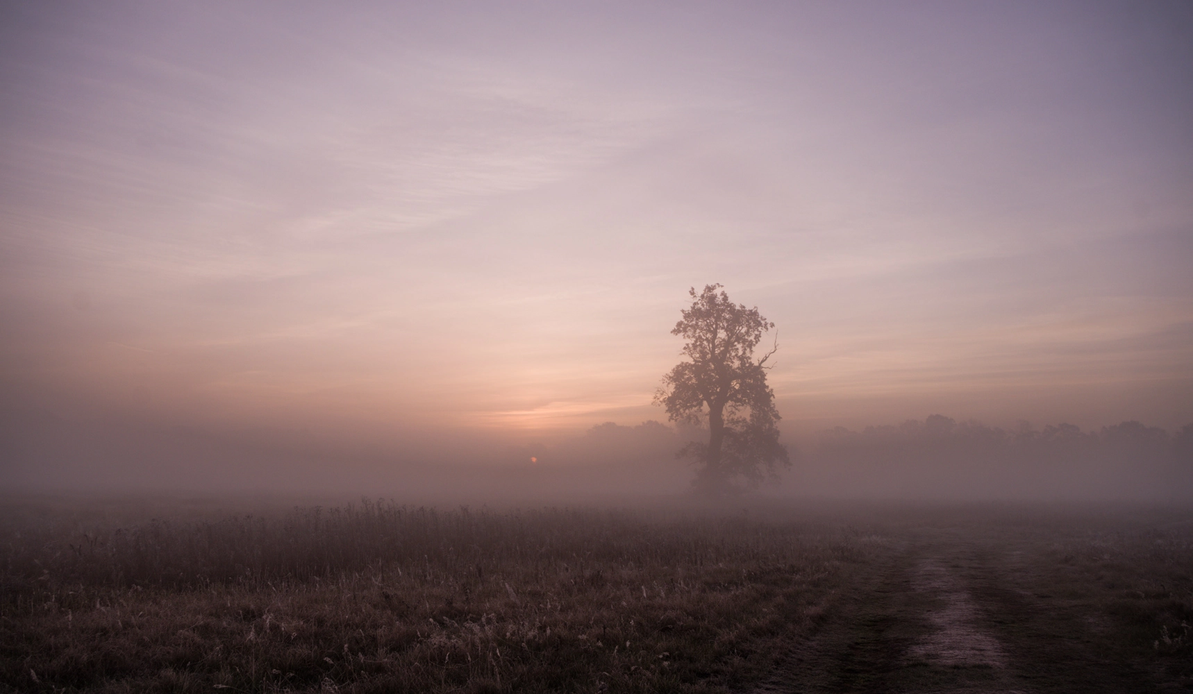 Pentax K-r sample photo. It will be a beautiful day photography