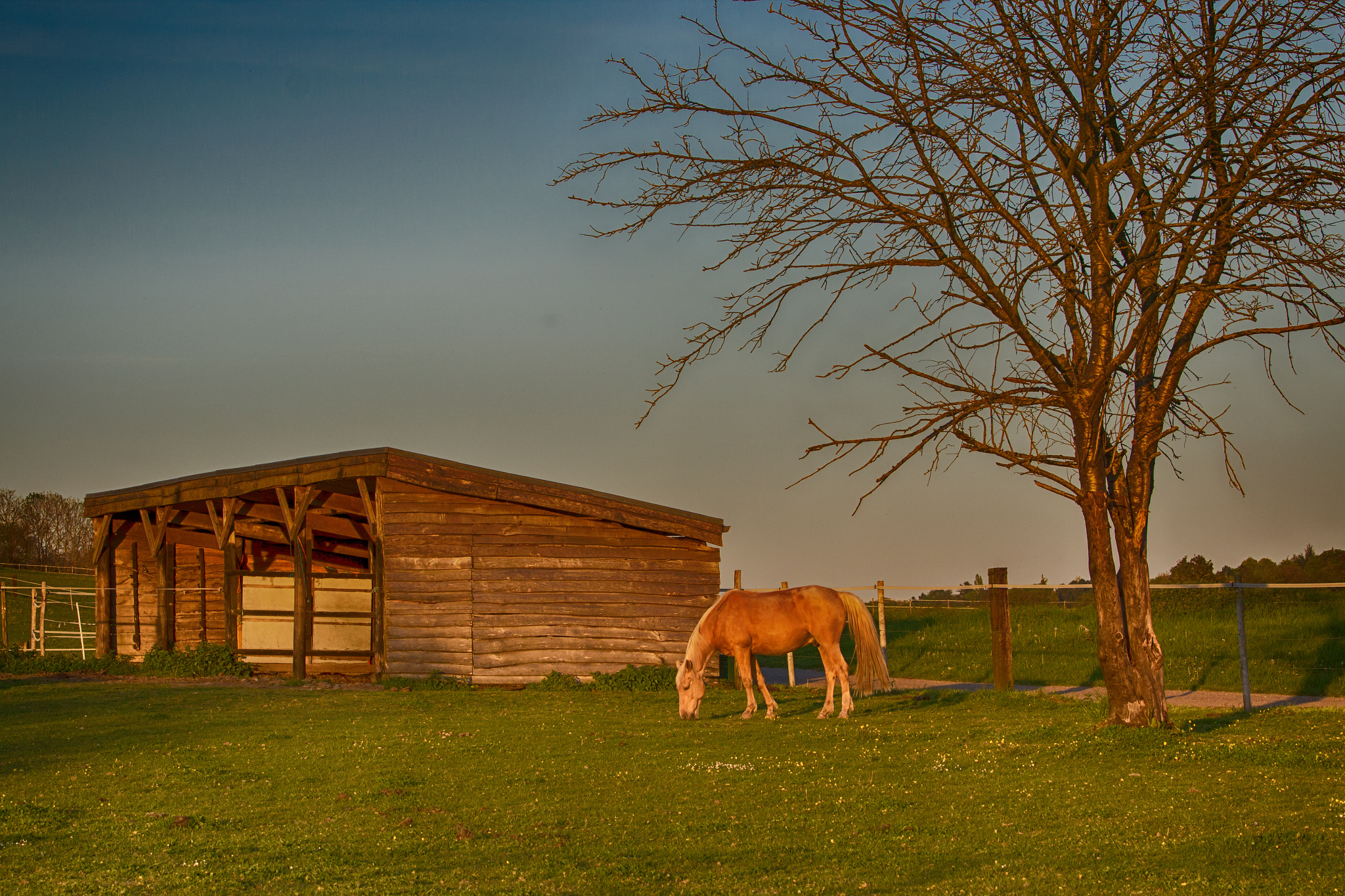 Canon EOS 600D (Rebel EOS T3i / EOS Kiss X5) + Canon EF 70-200mm F4L IS USM sample photo. Coucher de soleil sur le ranch photography
