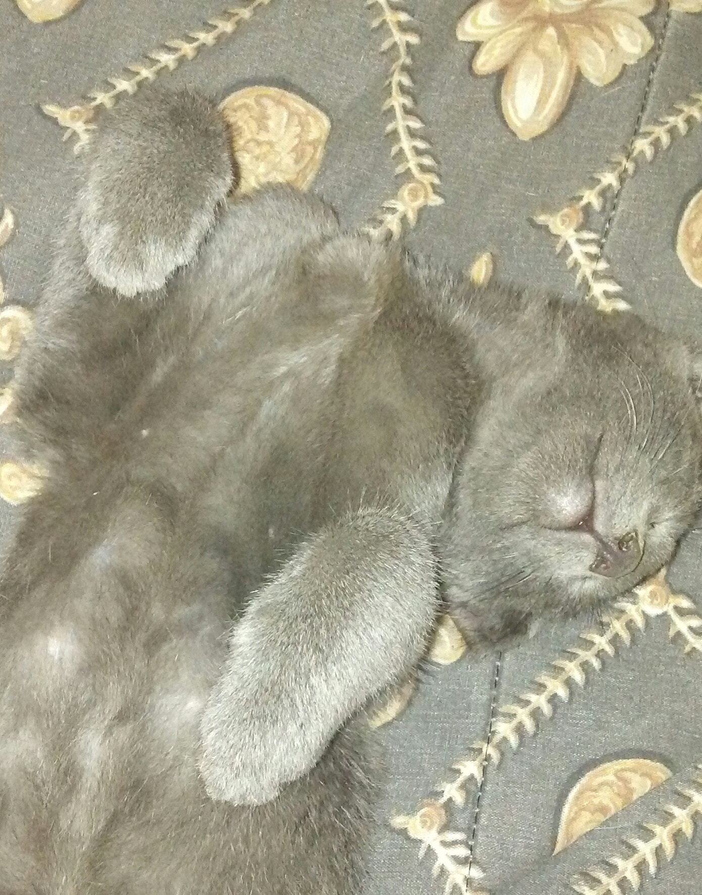 LG M1 sample photo