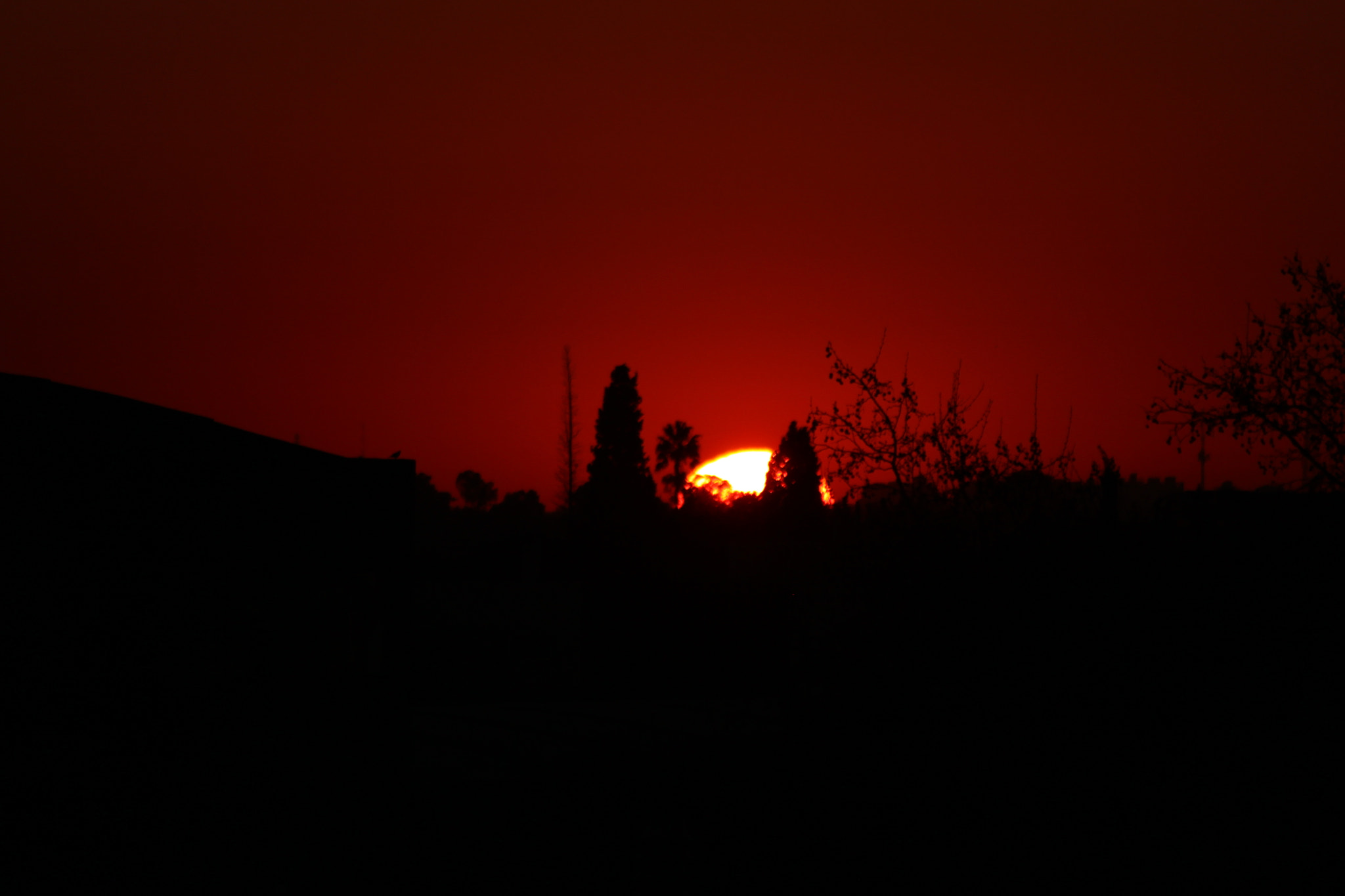 Canon EF 70-300mm F4-5.6 IS USM sample photo