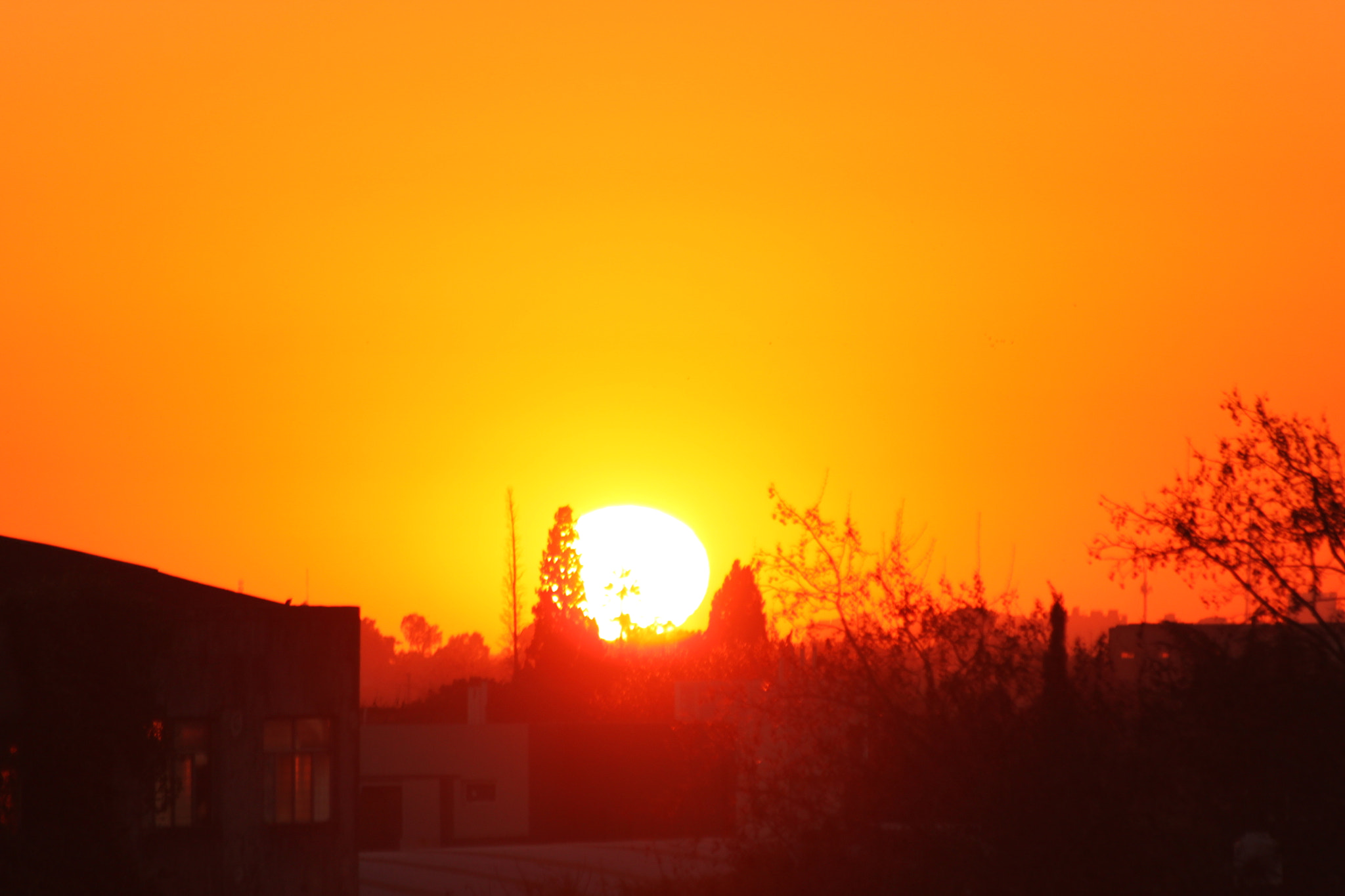 Canon EF 70-300mm F4-5.6 IS USM sample photo