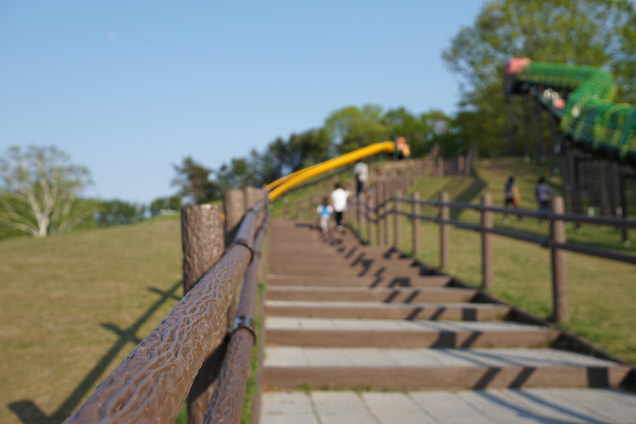 Sony a6000 + Sony Sonnar T* E 24mm F1.8 ZA sample photo. Stairs photography