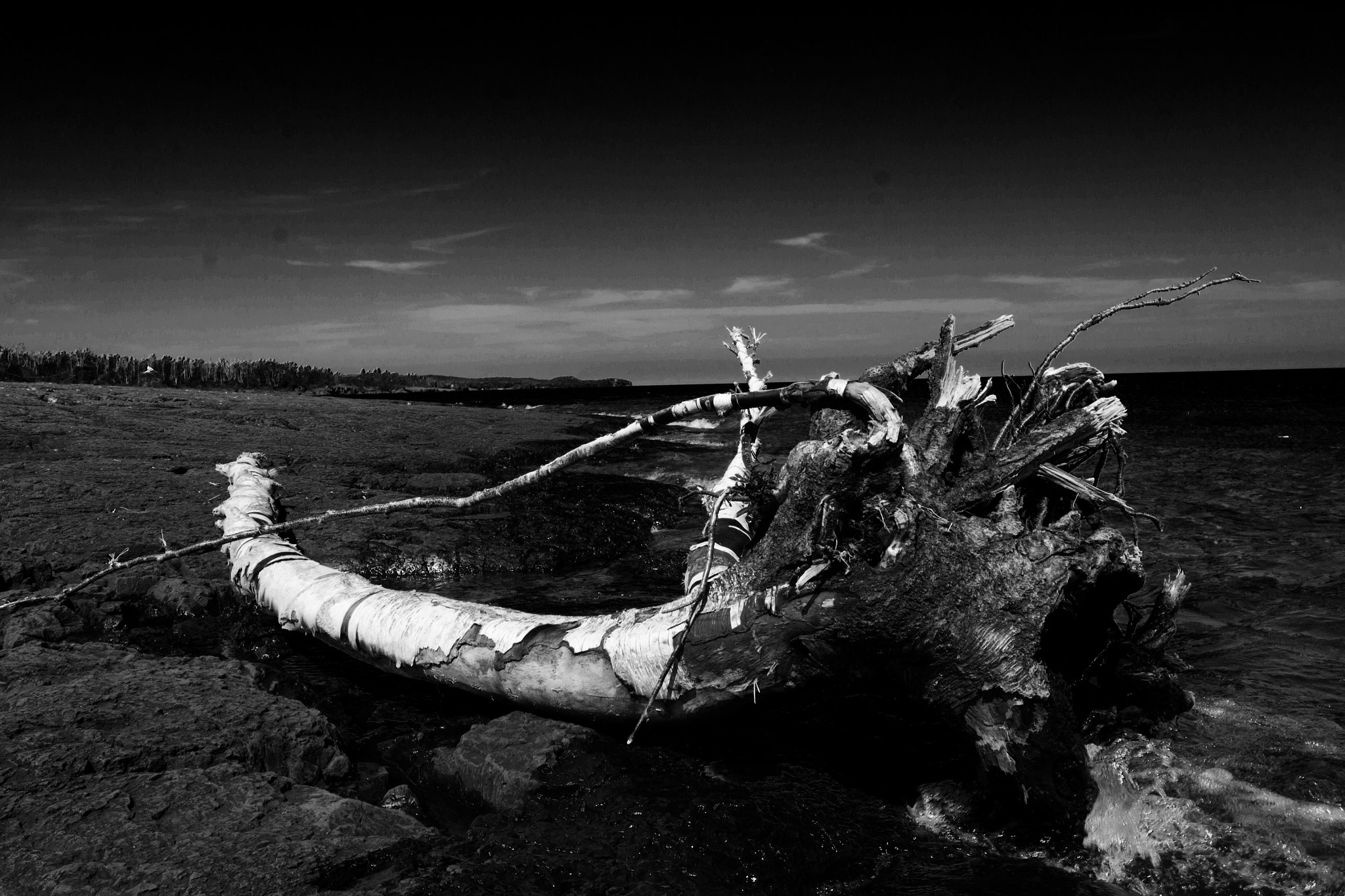 Tokina AT-X Pro 12-24mm F4 (IF) DX sample photo. Log at lake superior photography