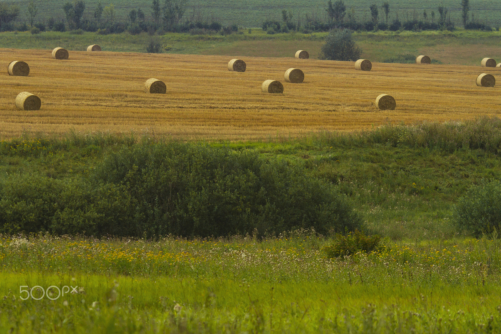 Canon EOS 7D + Canon EF 135mm F2L USM sample photo. Haystacks on a field photography