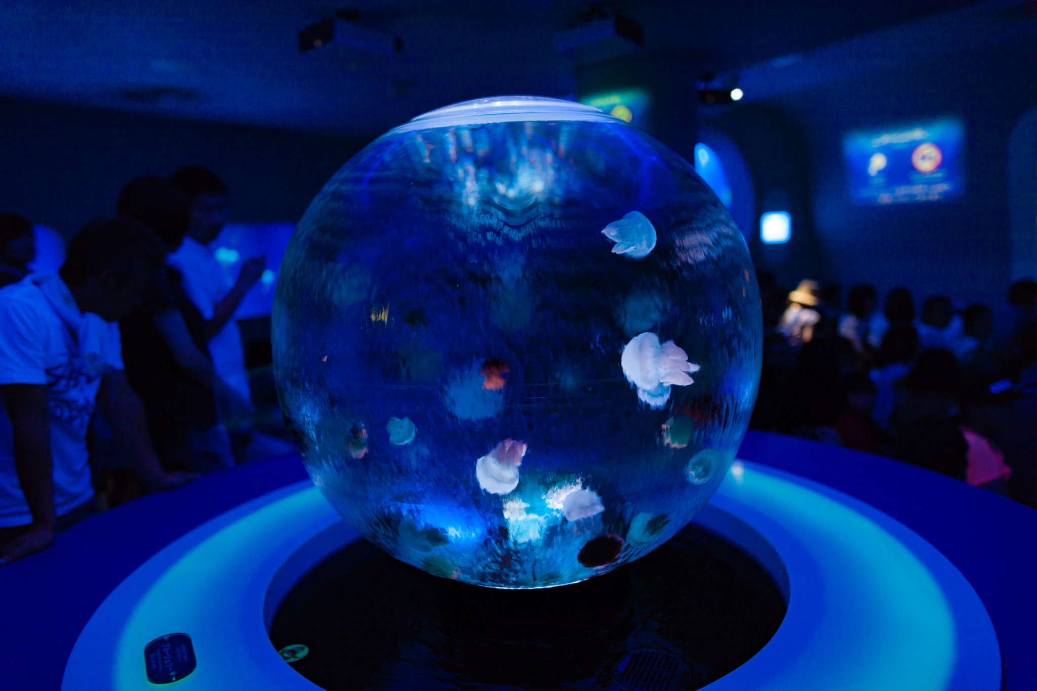 Sigma 24mm F1.4 DG HSM Art sample photo. Enoshima photography