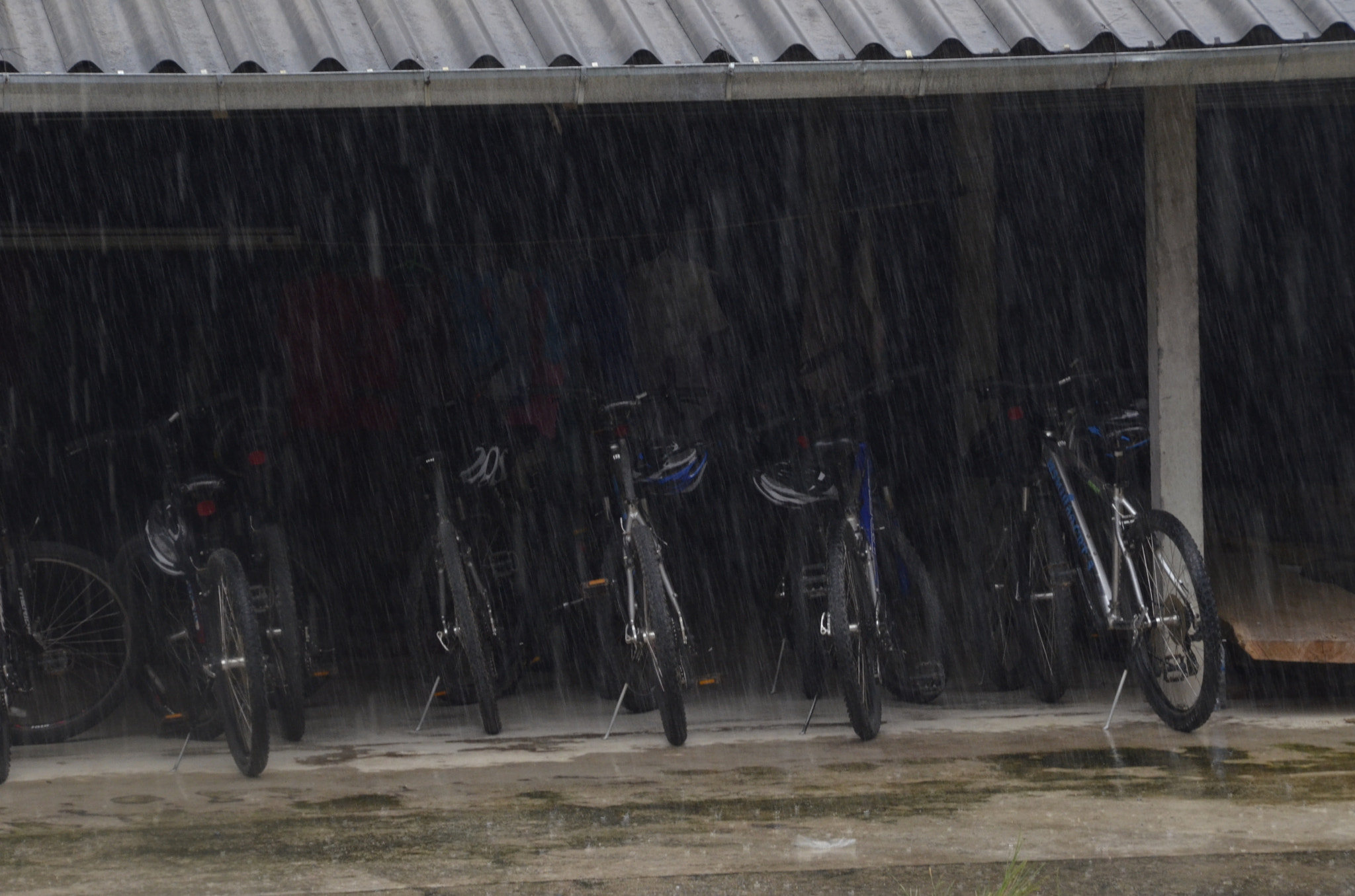 Nikon D7000 + Sigma 18-250mm F3.5-6.3 DC OS HSM sample photo. It's raining again photography