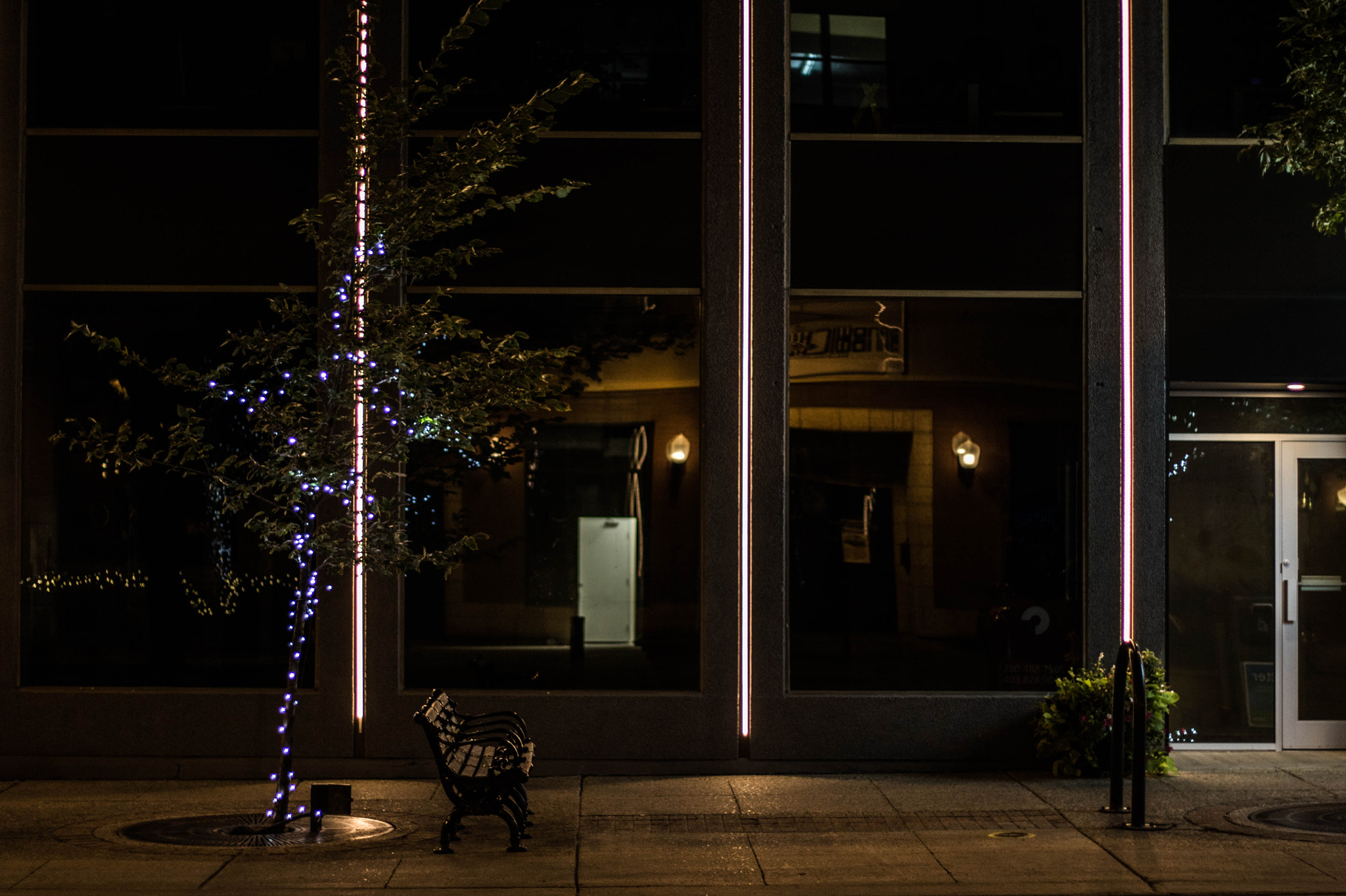 Canon EOS 760D (EOS Rebel T6s / EOS 8000D) sample photo. Street lights photography
