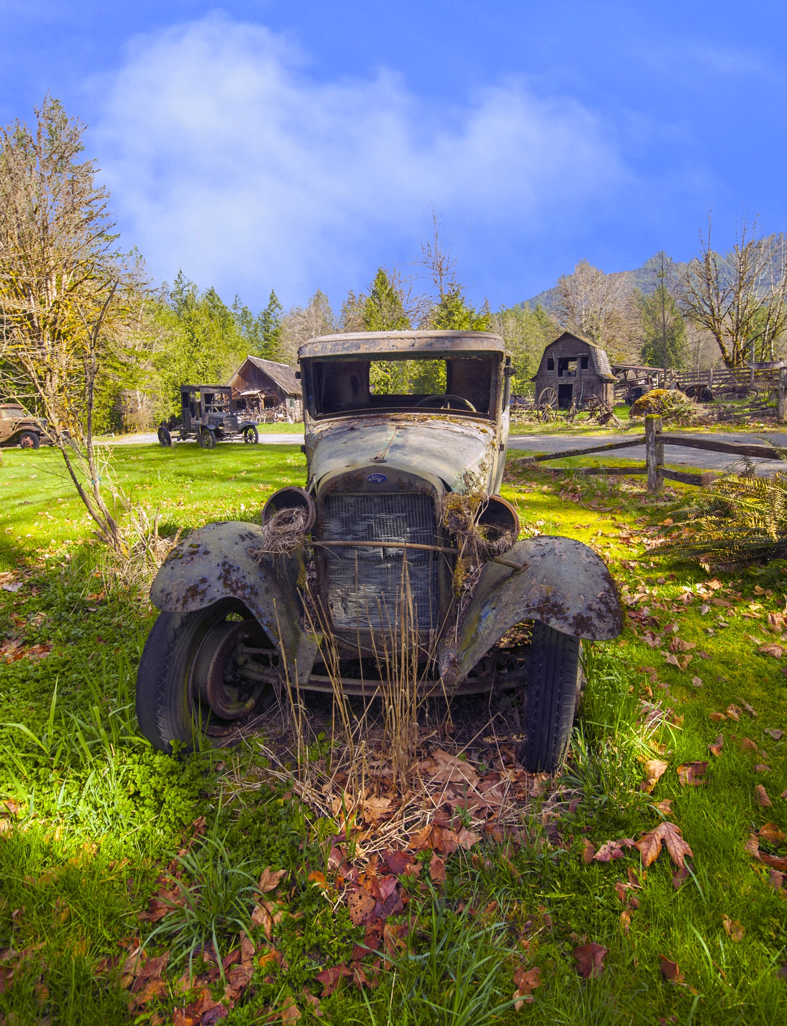 Nikon D3X sample photo. Out to pasture photography