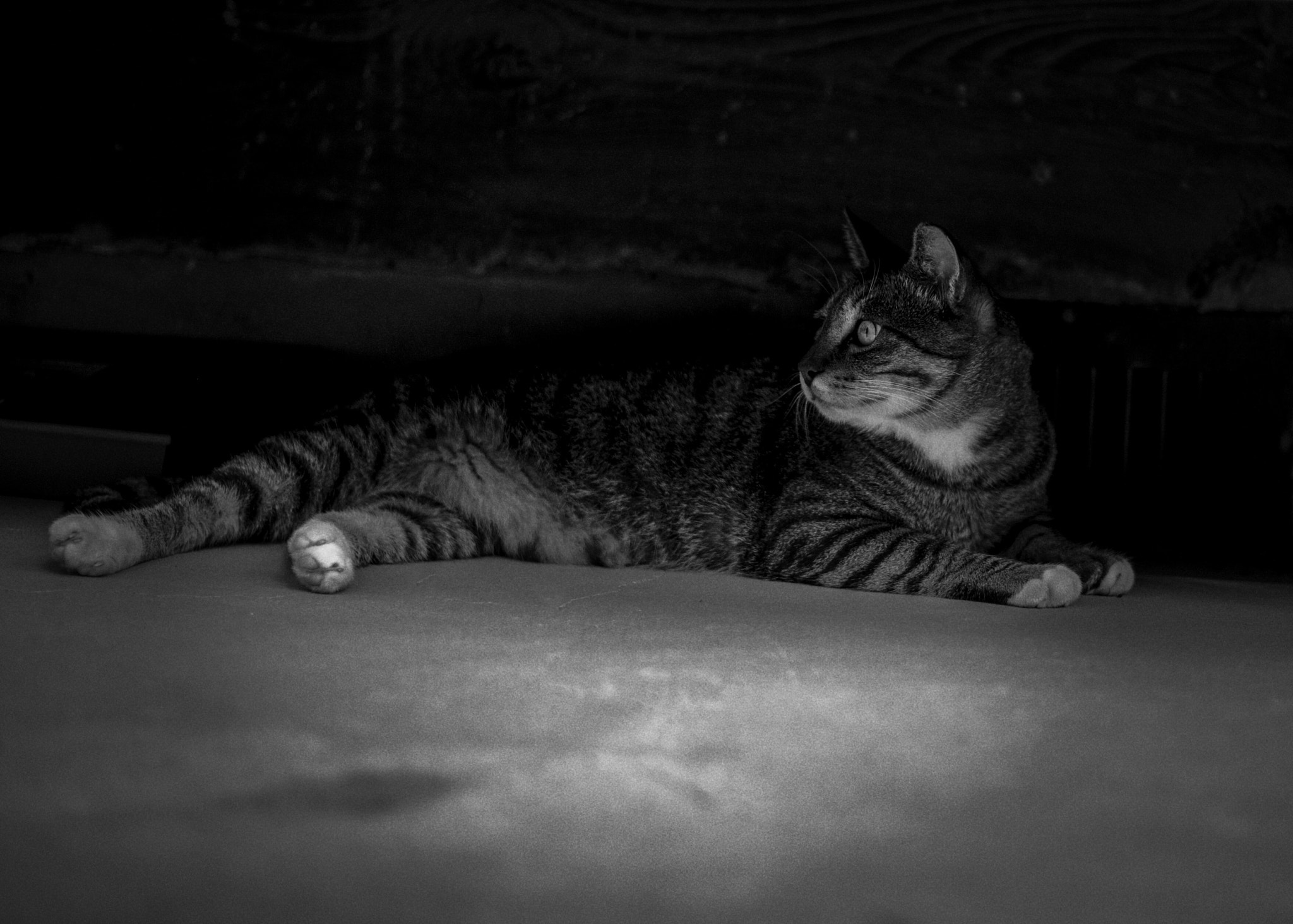 Leica Summilux-M 35mm F1.4 ASPH sample photo