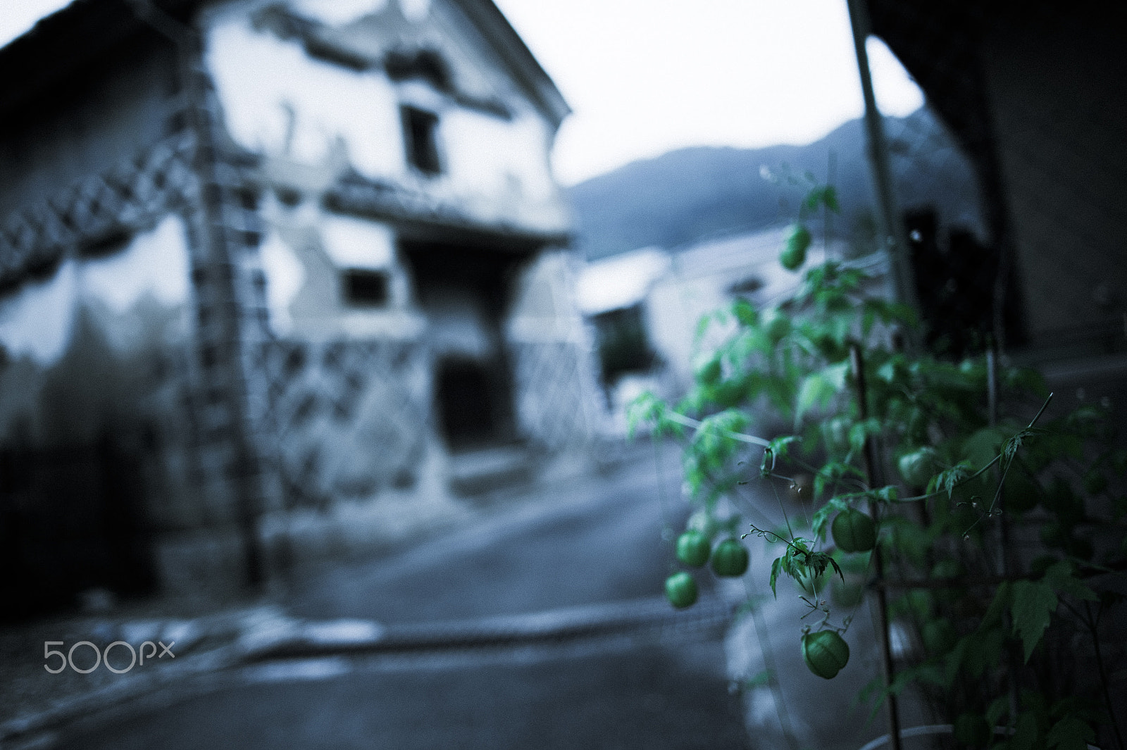 Nikon Df sample photo. Vestiges of japan photography