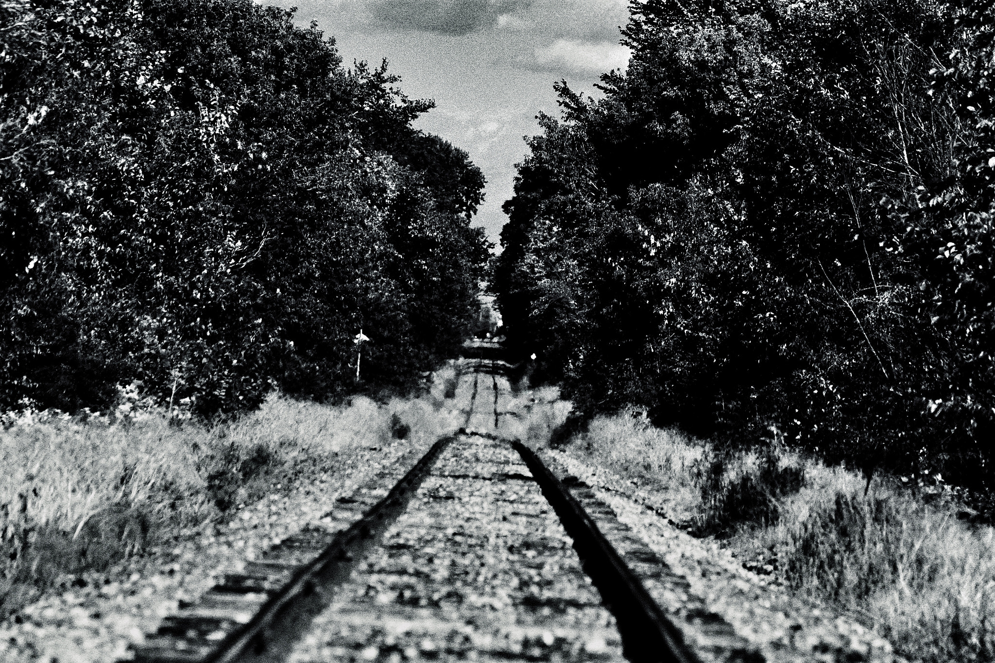 Canon EF 70-300mm F4-5.6 IS USM sample photo. Train tracks photography