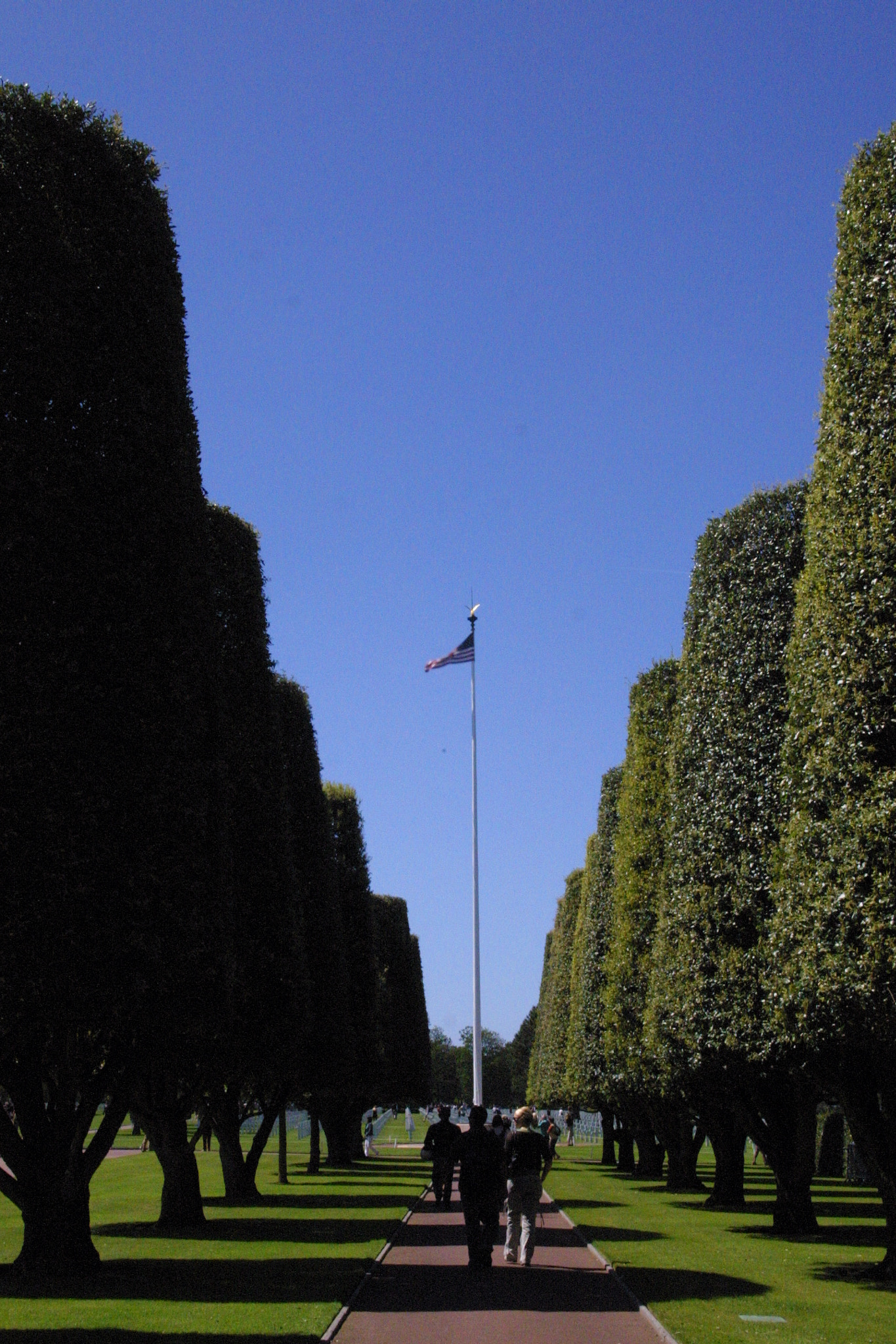 Canon EOS D30 sample photo. Normandy american cemetery and memorial photography