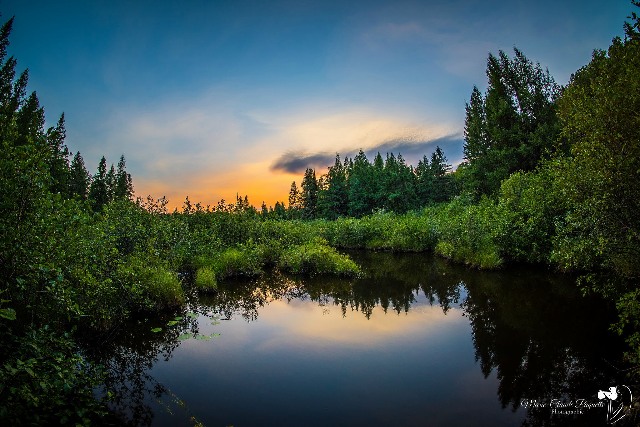 Nikon D810 + Samyang 12mm F2.8 ED AS NCS Fisheye sample photo. Tranquillité photography