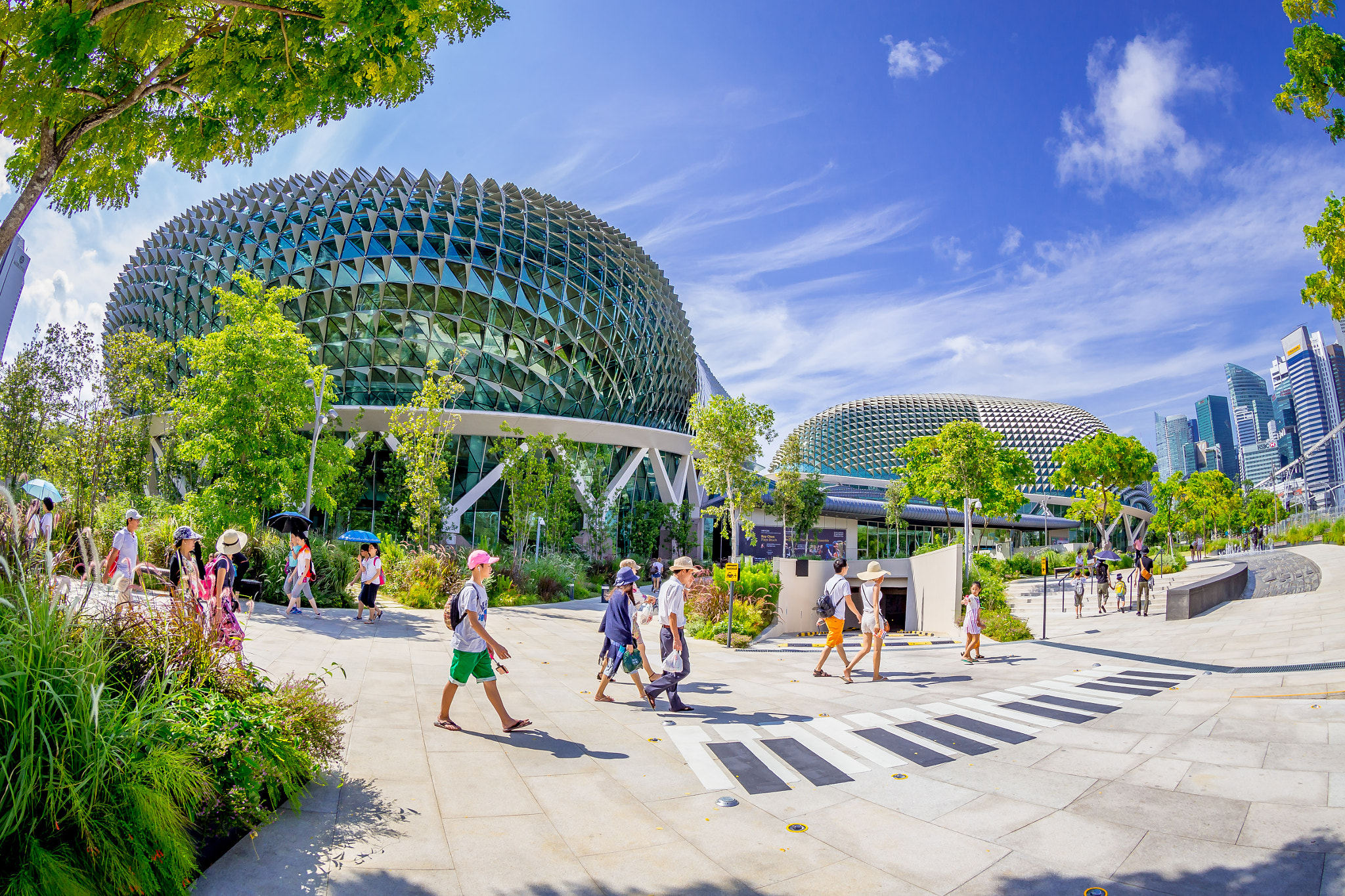 Canon EF 8-15mm F4L Fisheye USM sample photo. Esplanade (singapore) photography