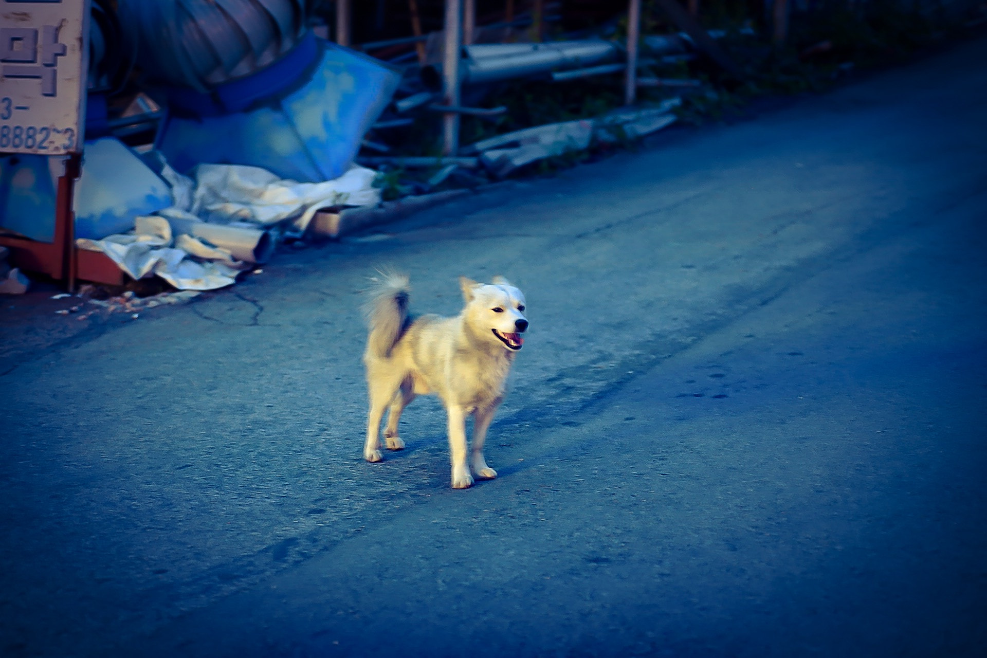 Canon 90mm sample photo