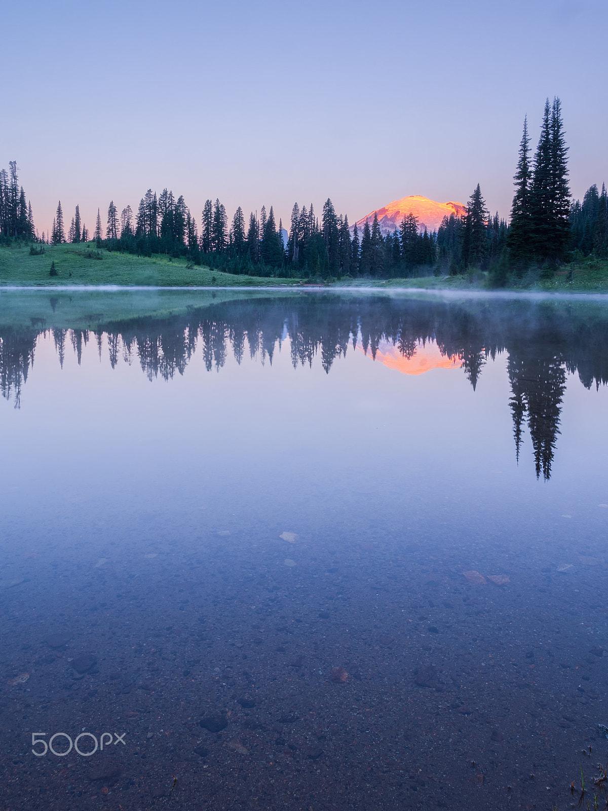 Olympus OM-D E-M1 + OLYMPUS M.12mm F2.0 sample photo. Golden mt. rainier photography