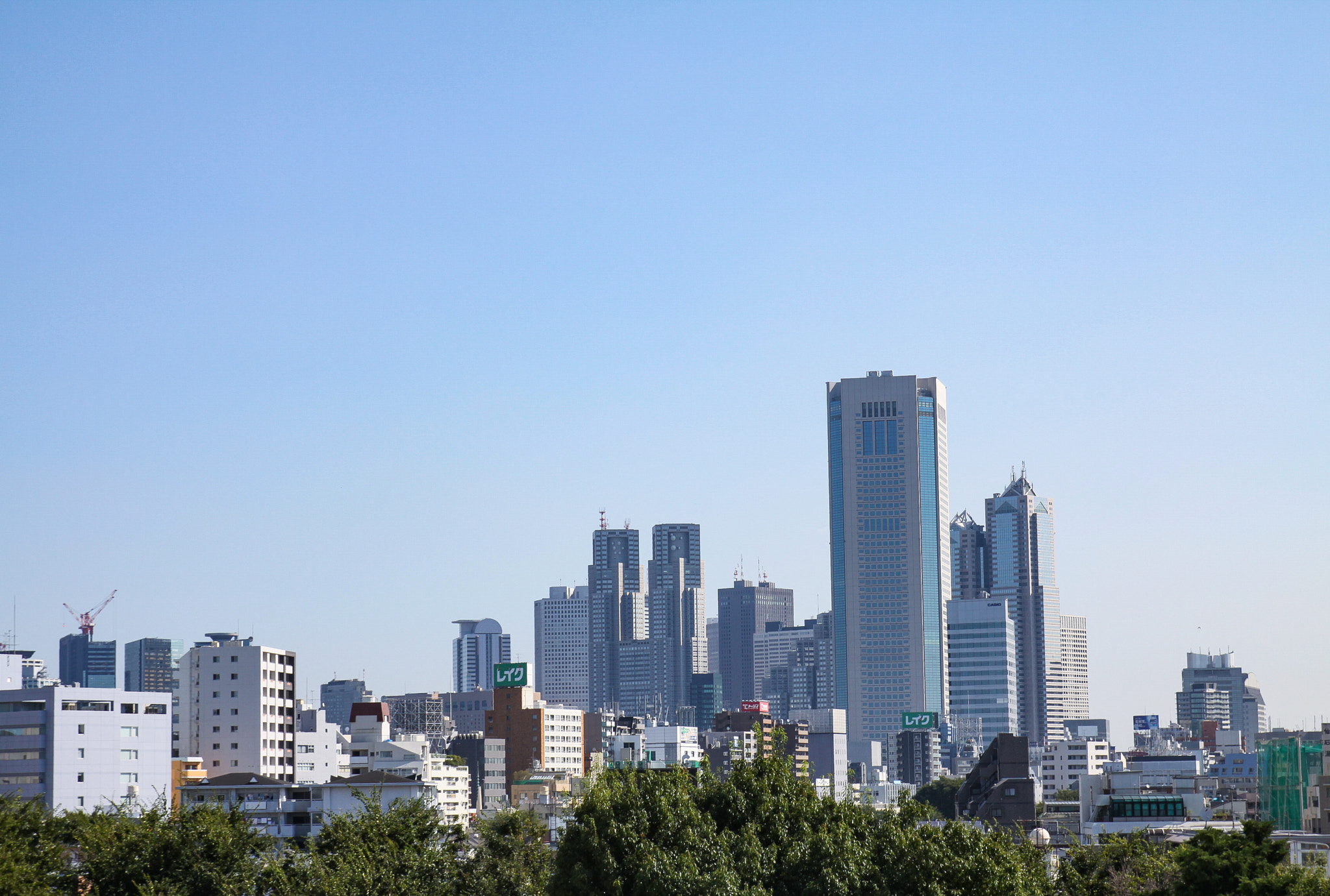 Canon EOS 50D sample photo