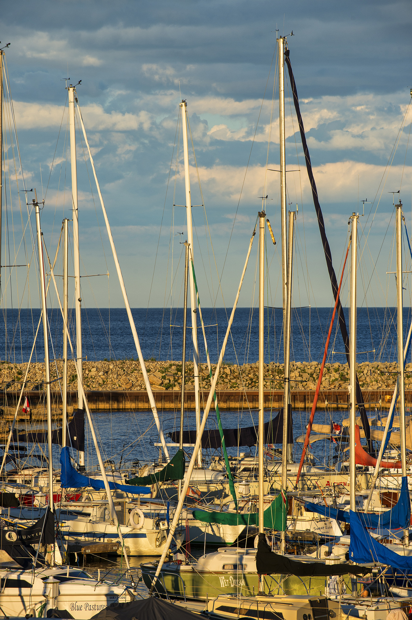 Nikon Df sample photo. Late afternoon at the marina photography