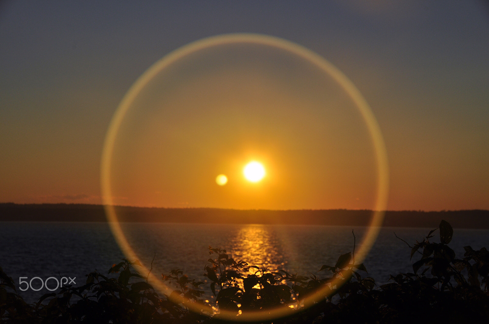 Sigma 18-250mm F3.5-6.3 DC Macro OS HSM sample photo. Sunglare photography