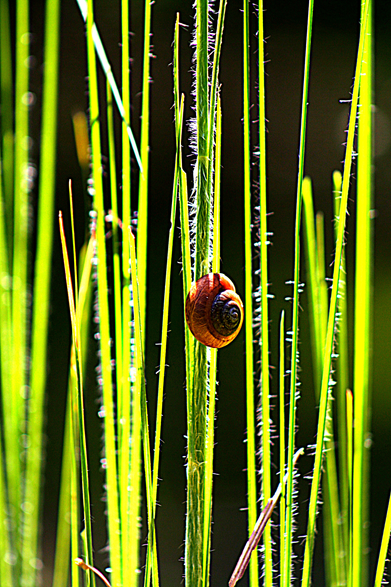 Canon EOS 1000D (EOS Digital Rebel XS / EOS Kiss F) sample photo. Just living photography