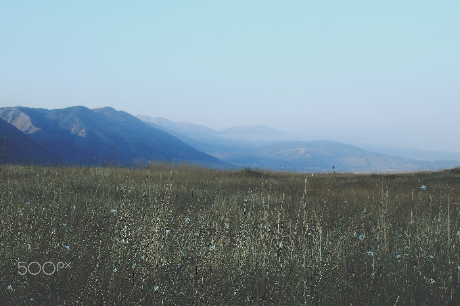 Canon EF-S 18-55mm F3.5-5.6 IS sample photo. The field in the sky photography