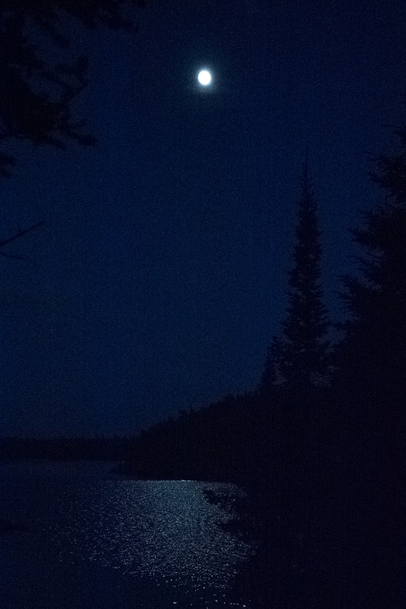 Panasonic Lumix DMC-GM5 sample photo. Midnight blue photography