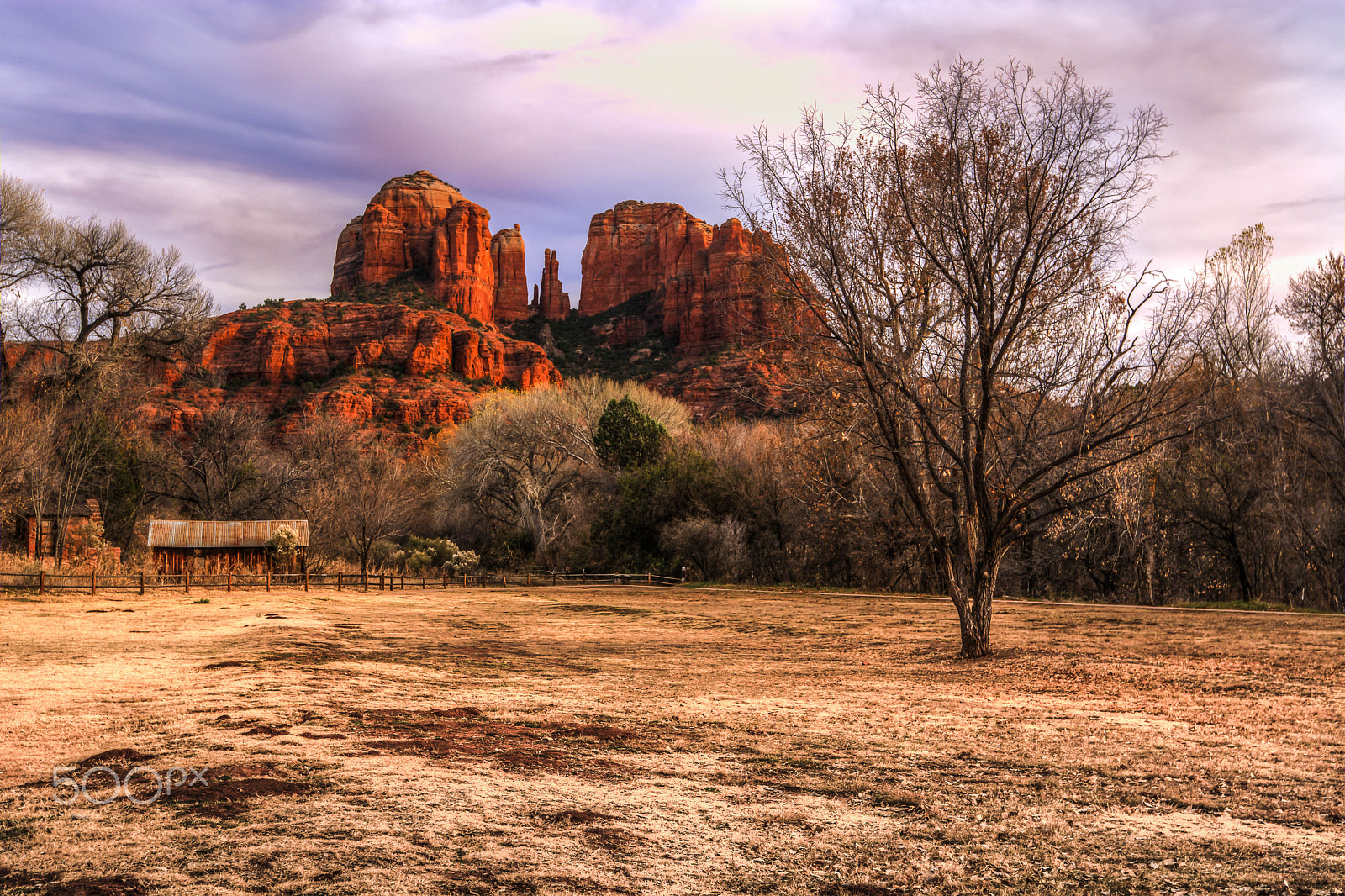 Nikon AF-S Nikkor 16-35mm F4G ED VR sample photo. Cathedral rock photography