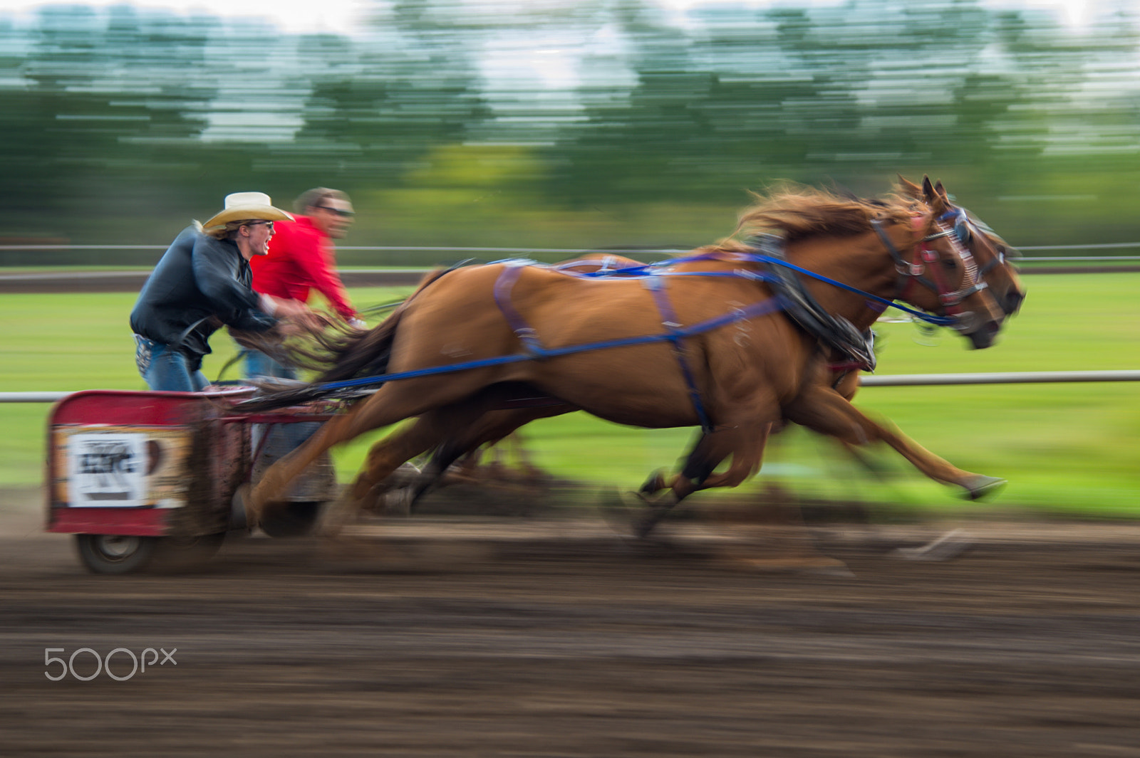 Nikon D4S sample photo. Westlock rodeo photography