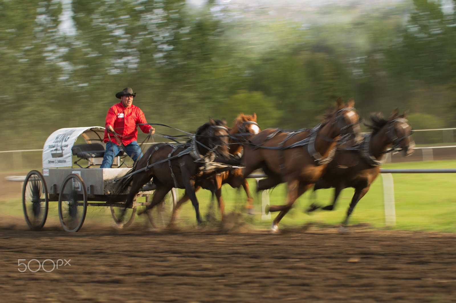 Nikon D500 + Sigma 50-100mm F1.8 DC HSM Art sample photo. Westlock rodeo 1 photography