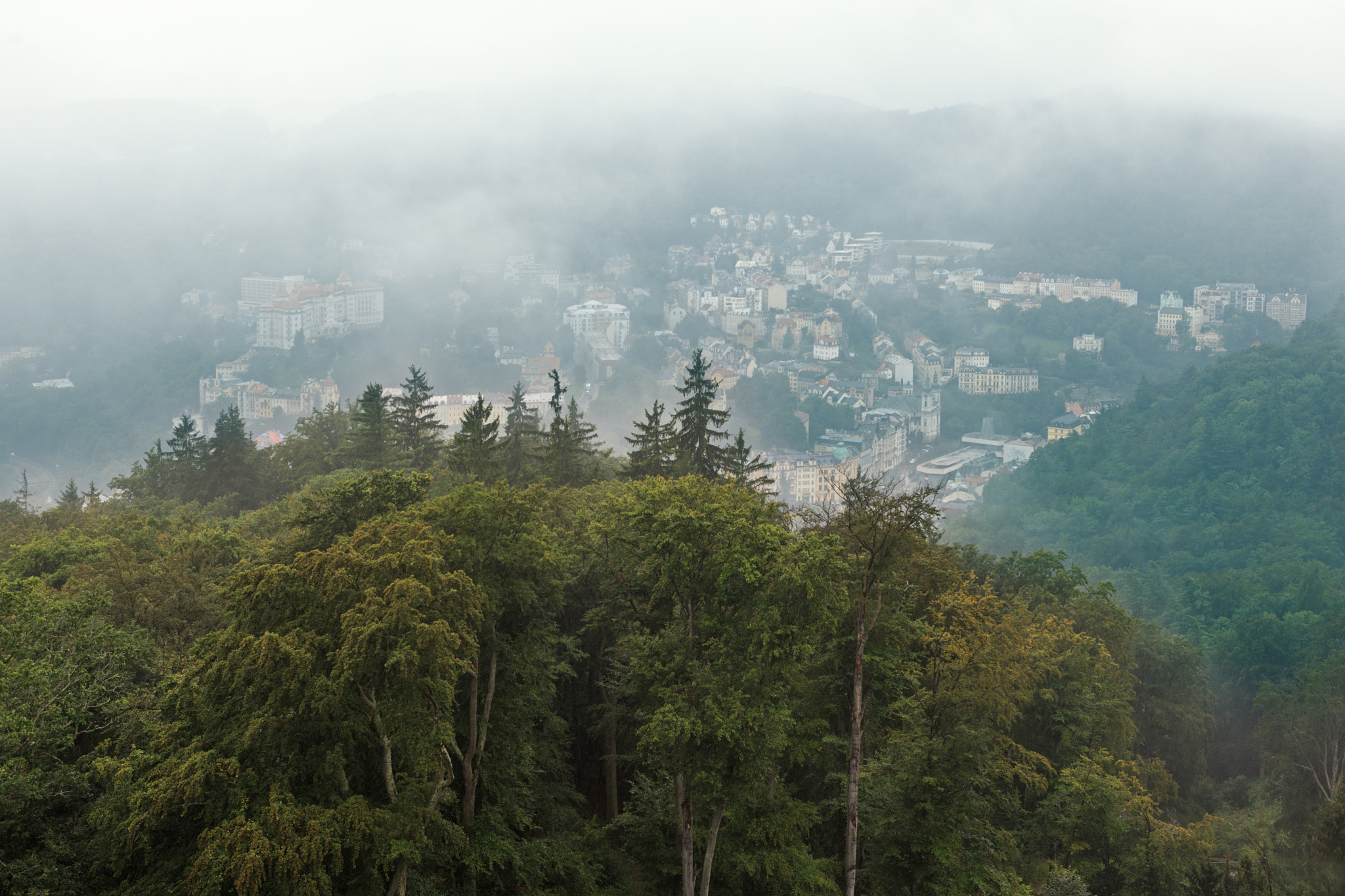 Canon EOS 5DS + Canon EF 24-70mm F2.8L USM sample photo. What kinds of weather, rain! photography