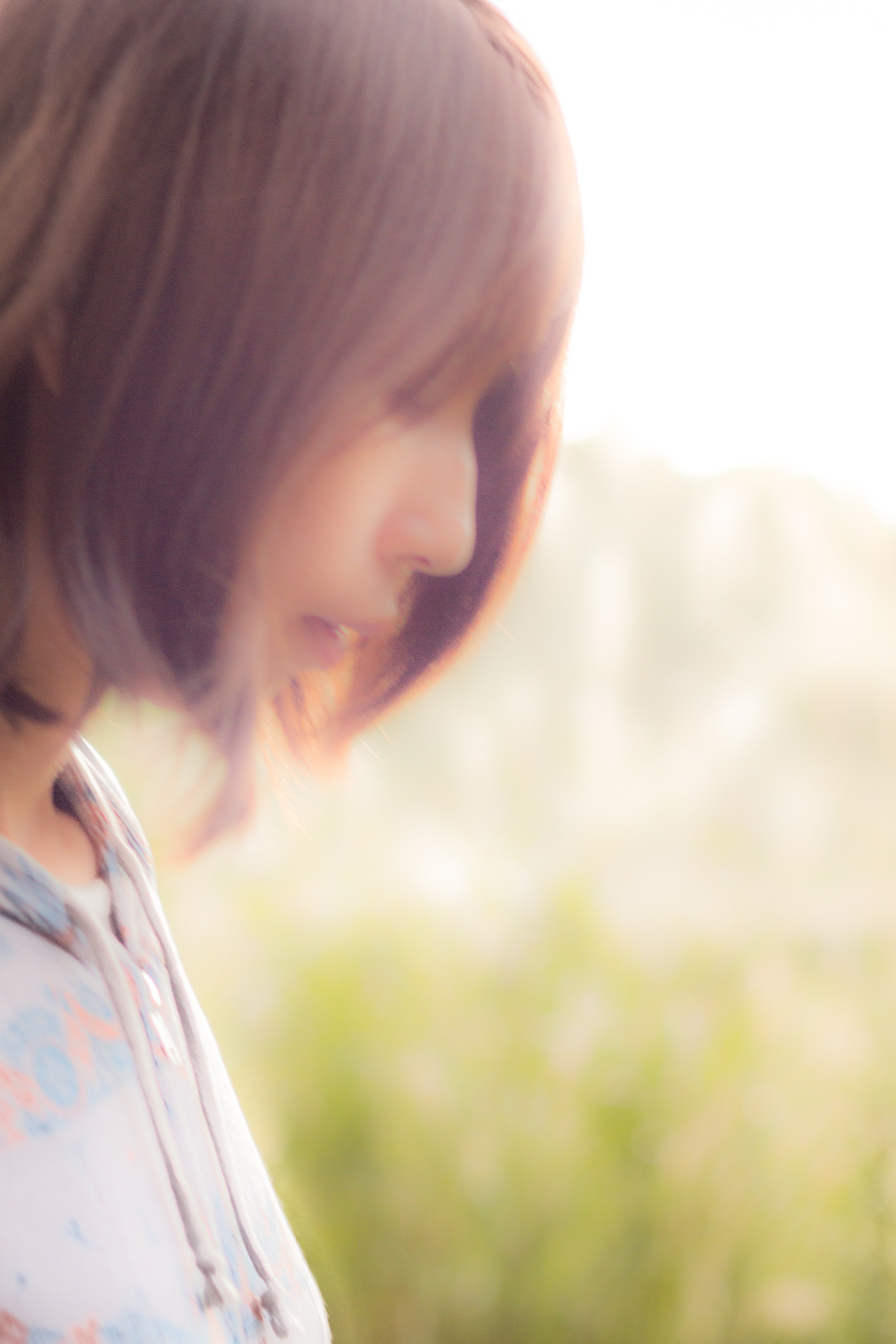 ZEISS Makro-Planar T* 50mm F2 sample photo. 陽だまり -soft light- photography