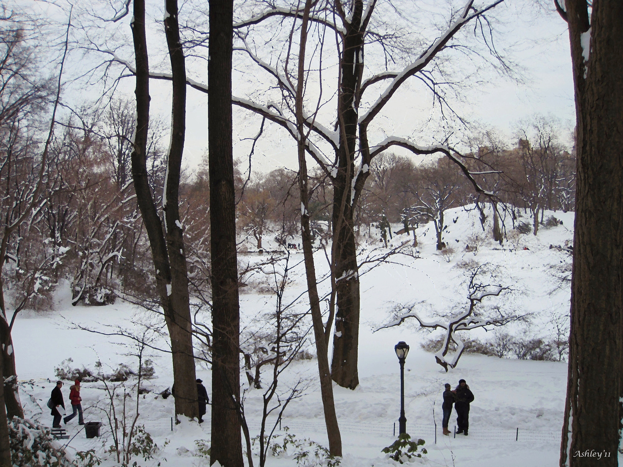 Canon PowerShot SD970 IS (Digital IXUS 990 IS / IXY Digital 830 IS) sample photo. Snow in central park, nyc photography