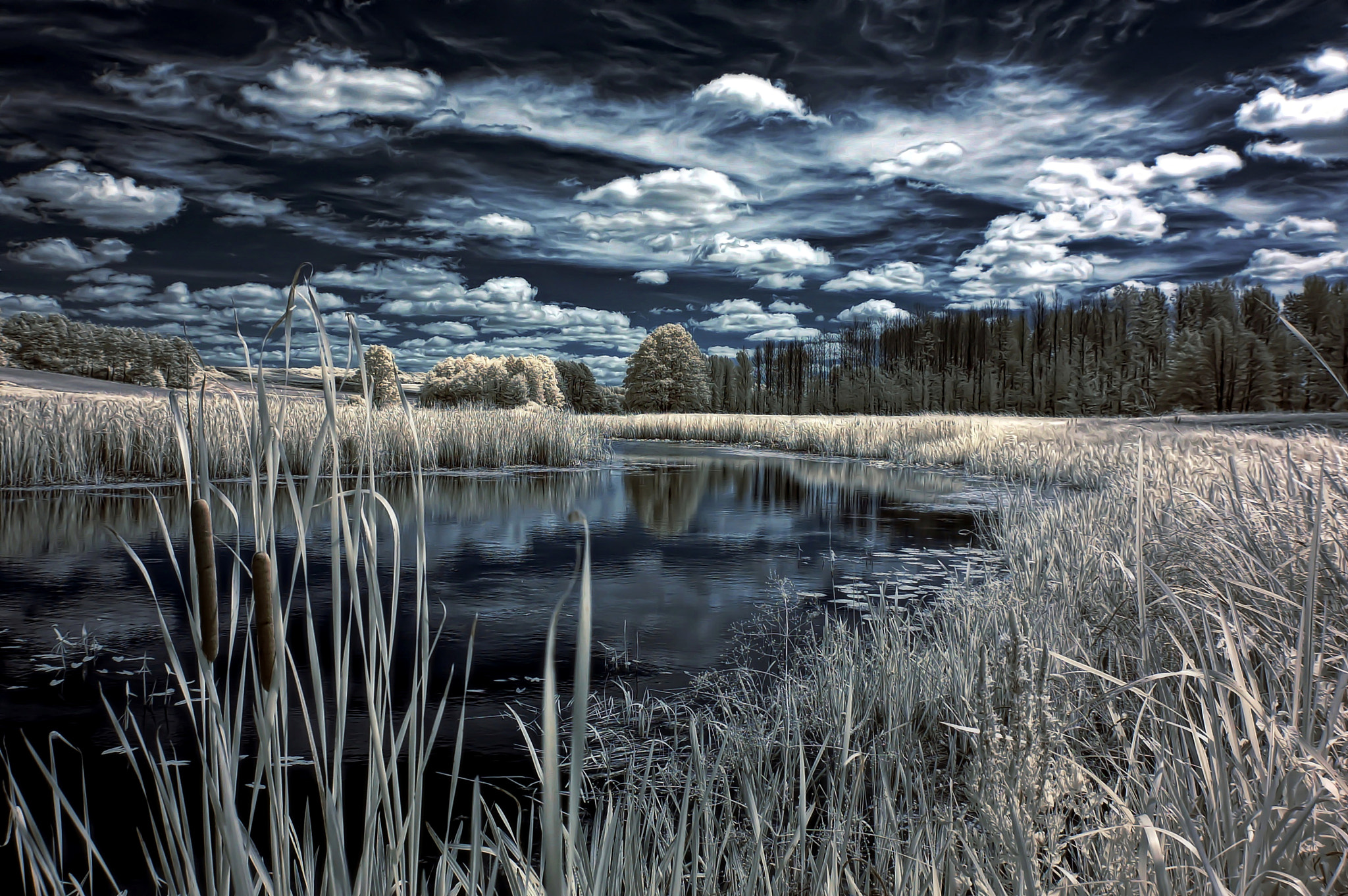 Nikon D50 sample photo. Ir photography