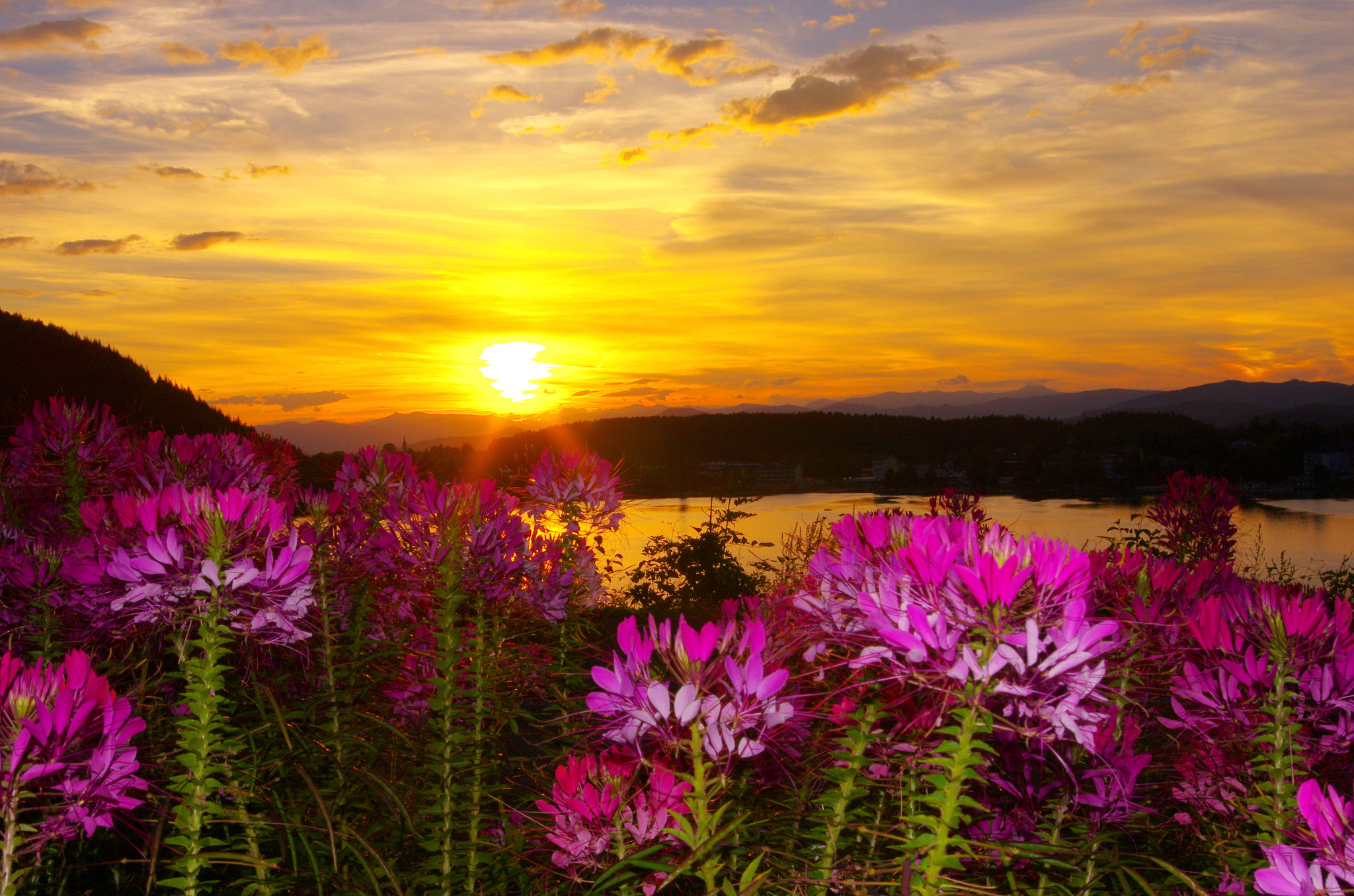 Pentax smc DA 18-55mm F3.5-5.6 AL sample photo. Stunning end of a beautiful day photography