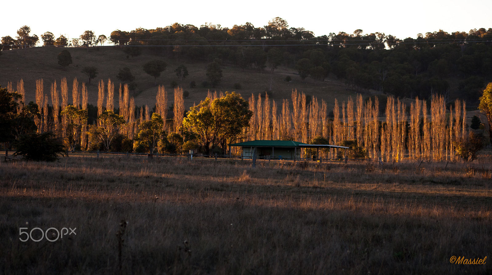 Canon EOS 400D (EOS Digital Rebel XTi / EOS Kiss Digital X) + EF75-300mm f/4-5.6 sample photo. Sunset lighting up the autumn trees. this photo wa ... photography