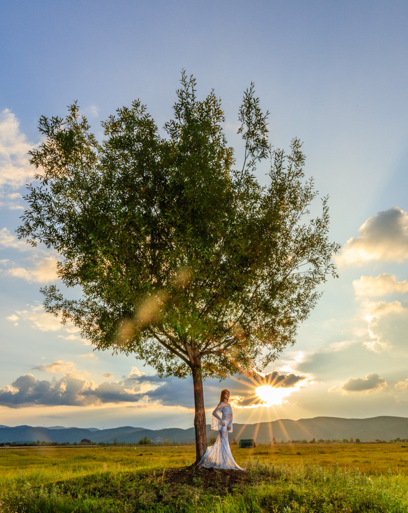 Canon EOS 5DS + Canon EF 11-24mm F4L USM sample photo