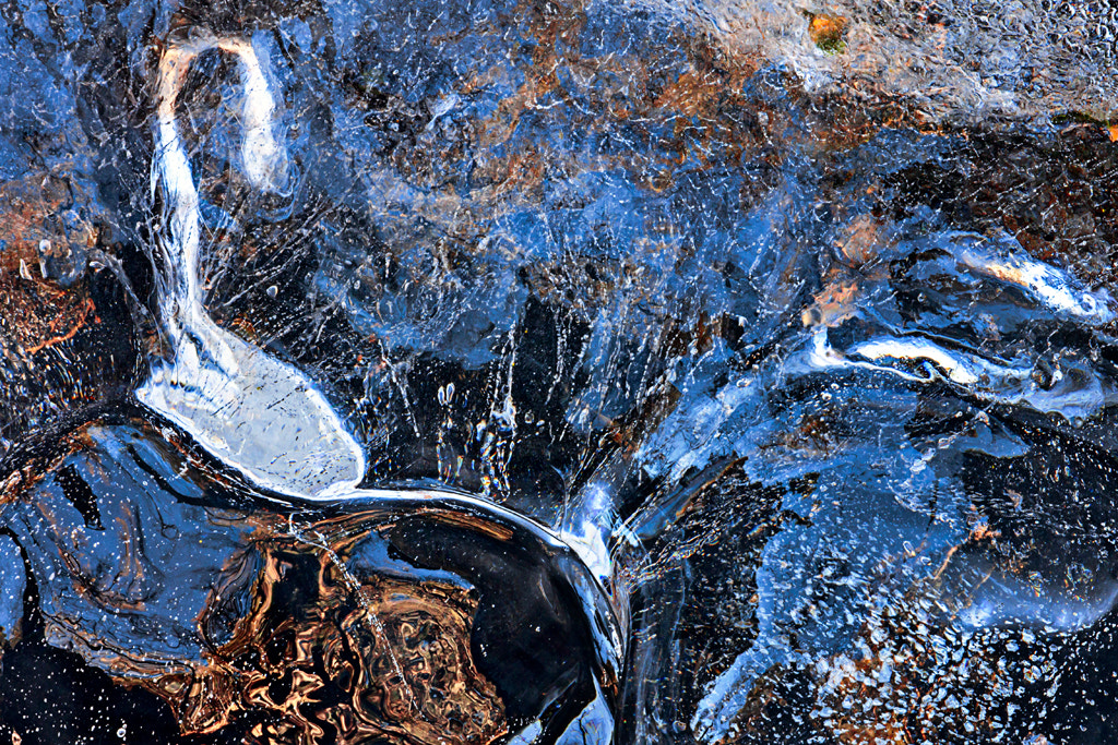 Sigma APO Macro 150mm f/2.8 EX DG HSM sample photo. Lz sobre hielo 4 -  light on ice 4 photography