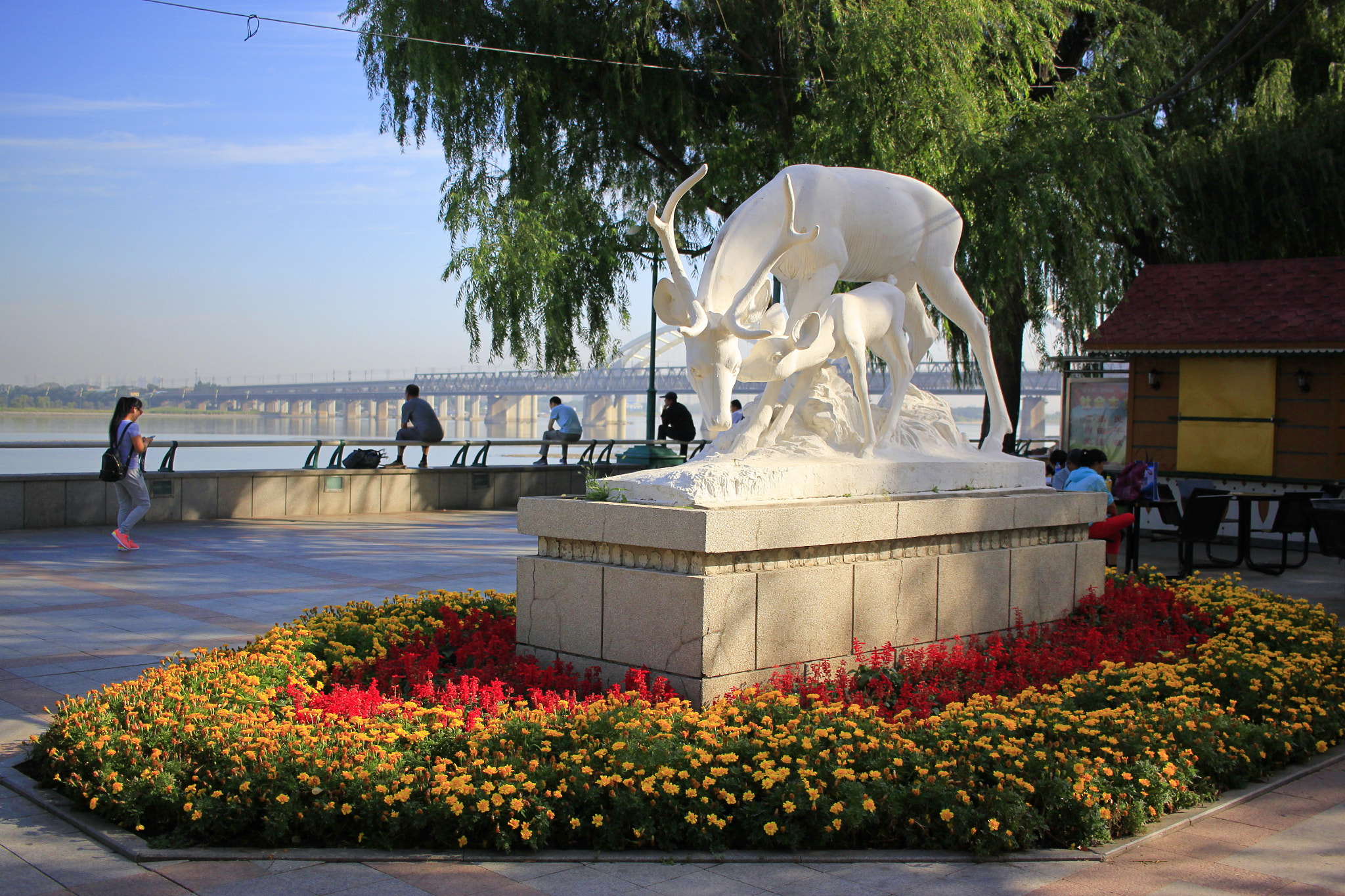 Canon EF-S 24mm F2.8 STM sample photo