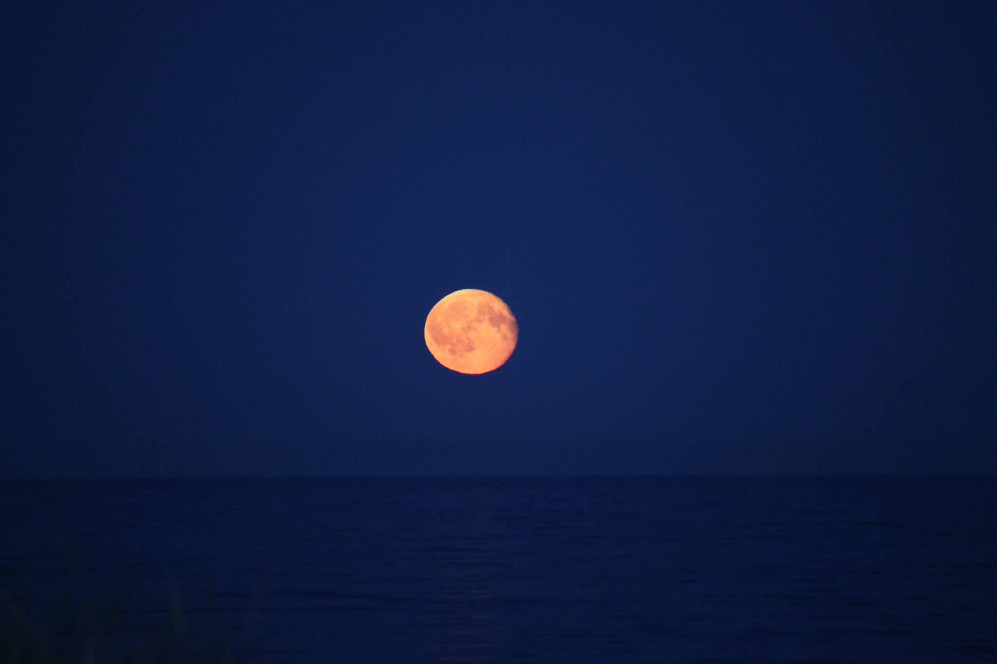 Canon EOS 7D Mark II + Canon EF-S 55-250mm F4-5.6 IS sample photo. The moon photography