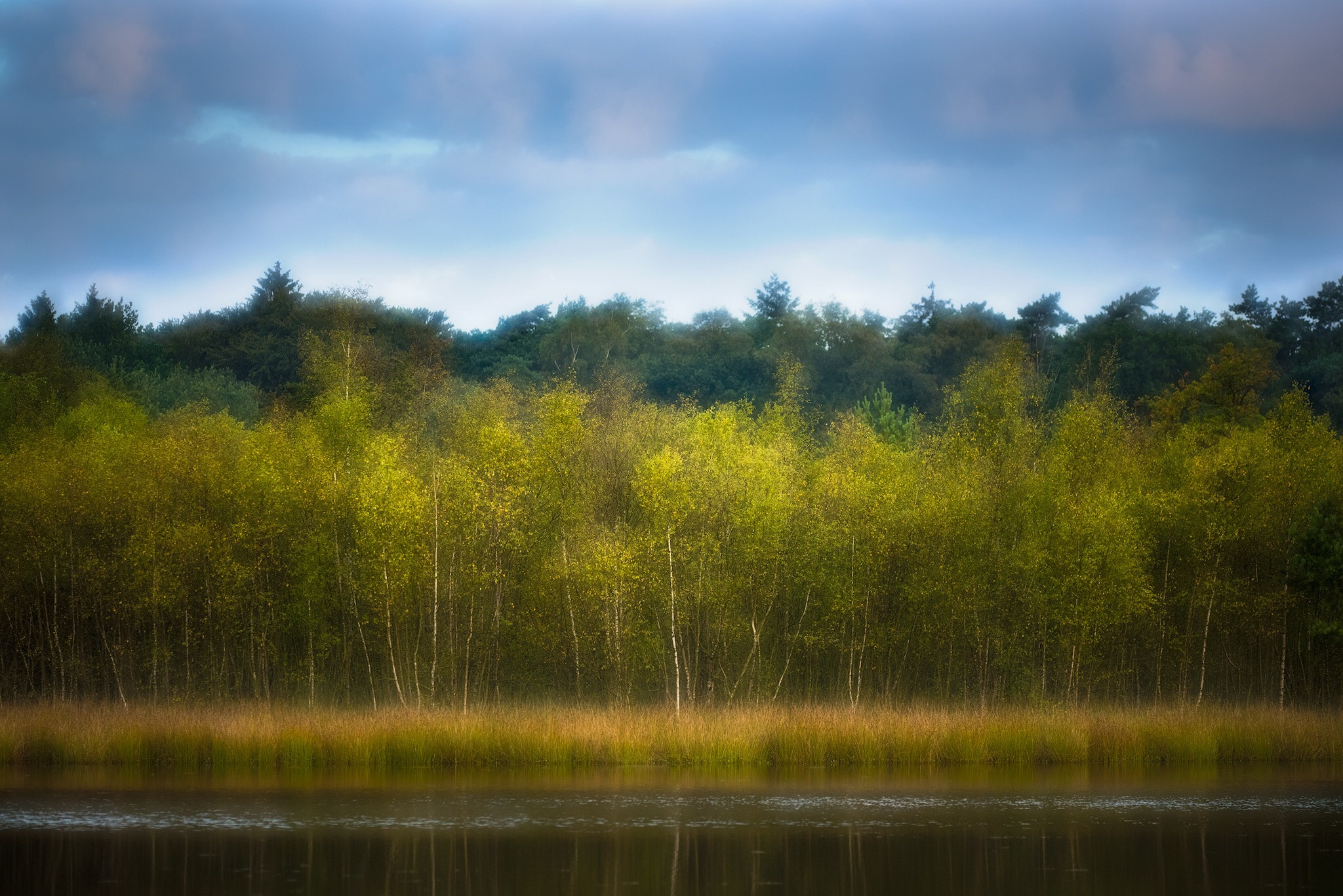 Sigma 150mm F2.8 EX DG Macro HSM sample photo. Autumn is coming photography